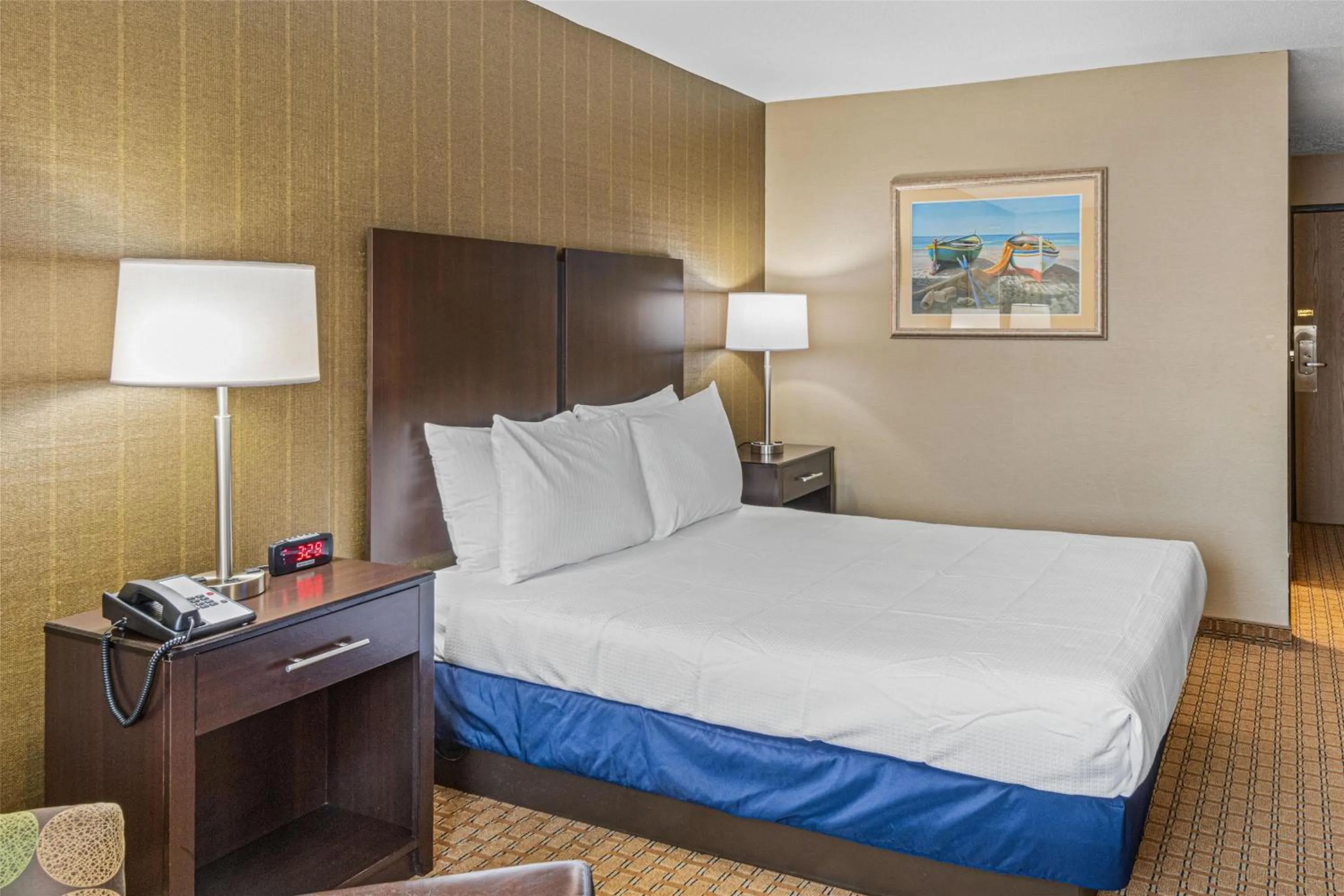 Bedroom, Bed in Best Western Providence Warwick Airport Inn