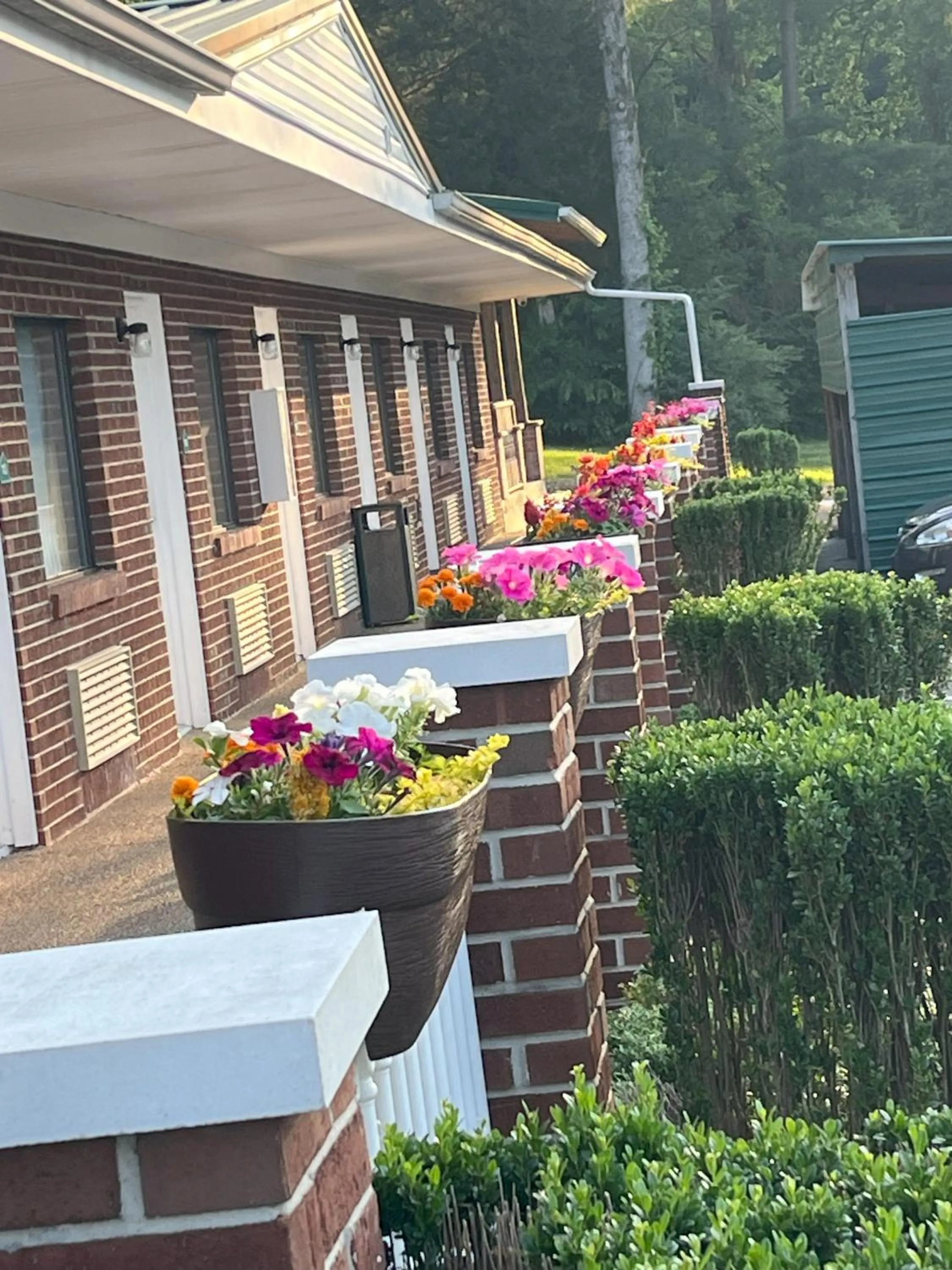 Natural landscape in Pinetree Inn