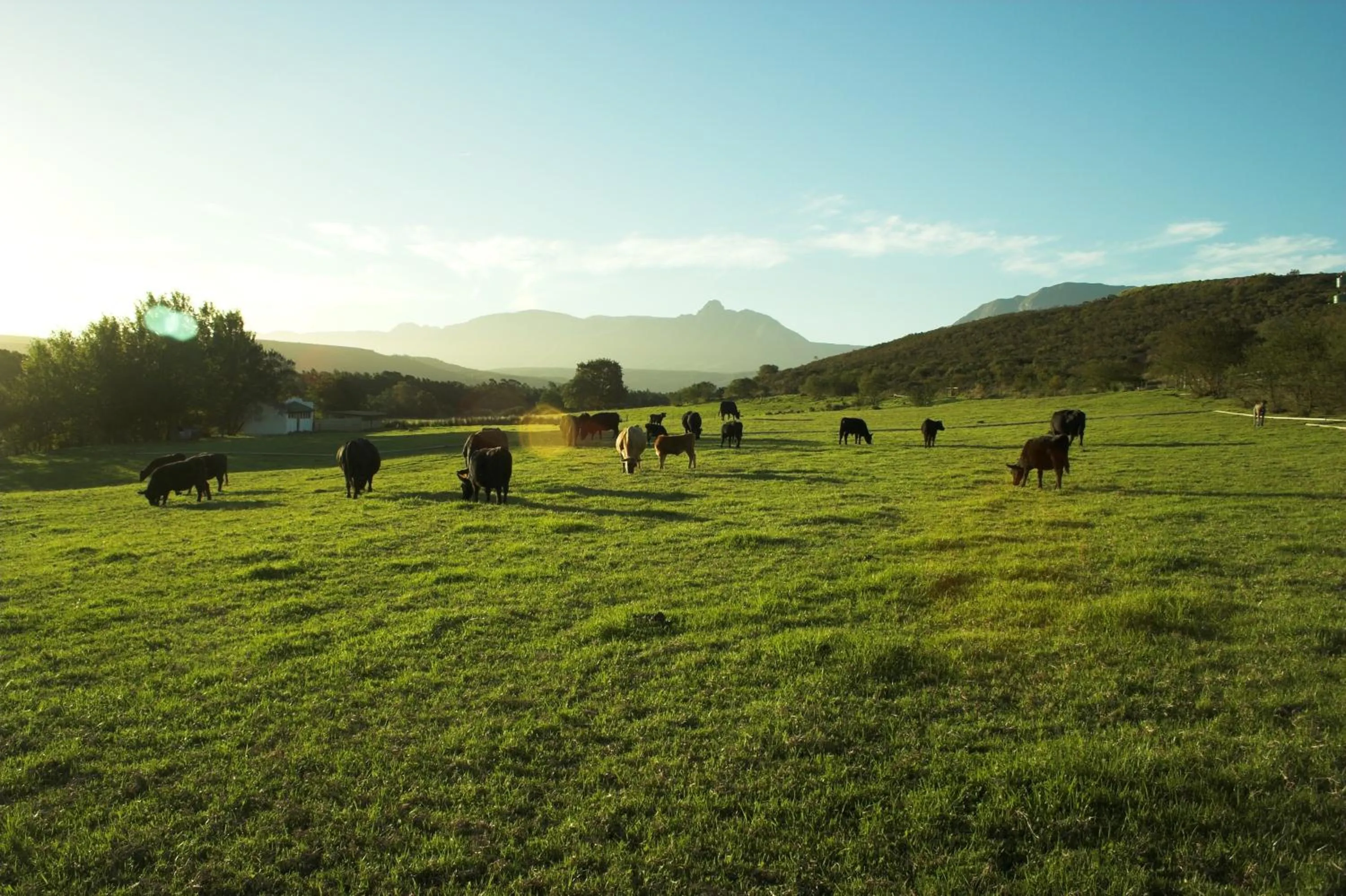 Mountain view in Zeekoegat Historical Homestead