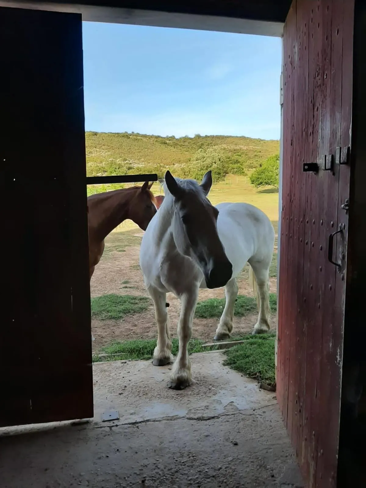 Zeekoegat Historical Homestead