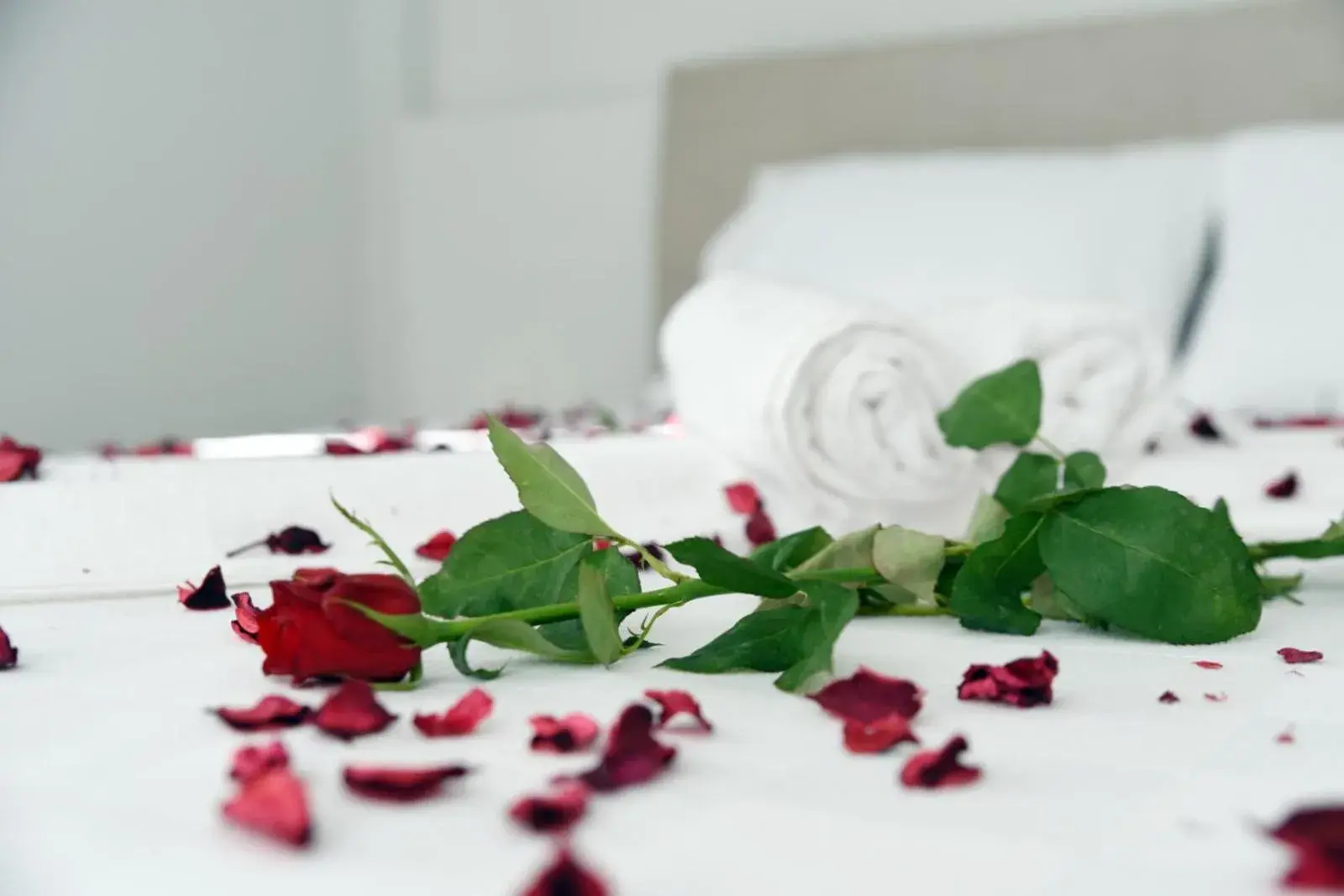 Quadruple Room in SORAL APART Quadruple Room in SORAL APART