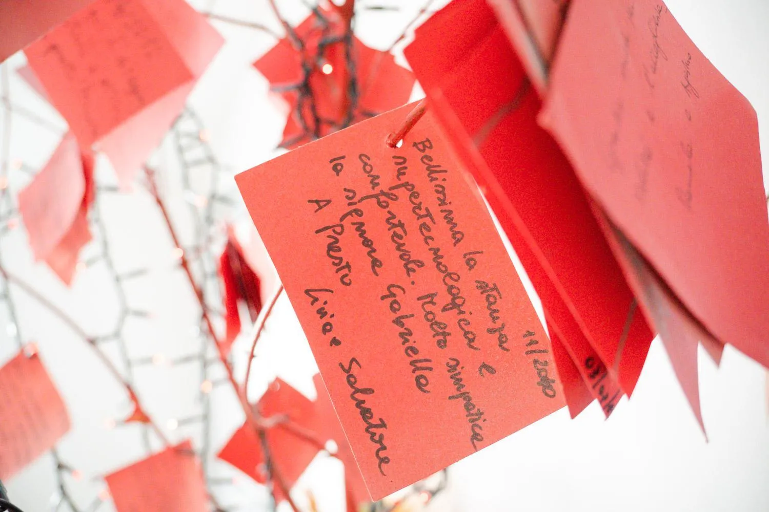 Lobby or reception in New Pescara City b&b