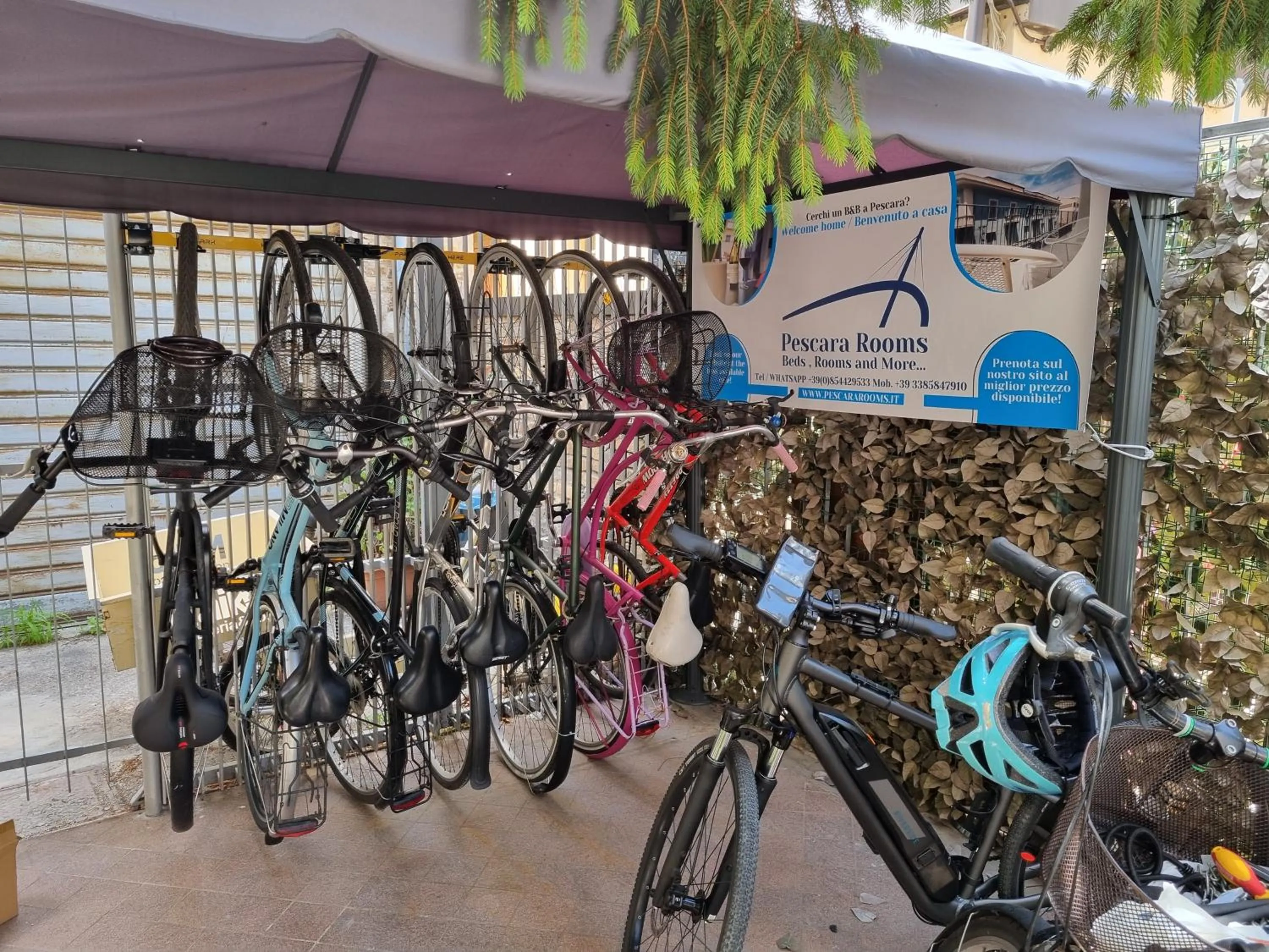 Cycling in New Pescara City b&b