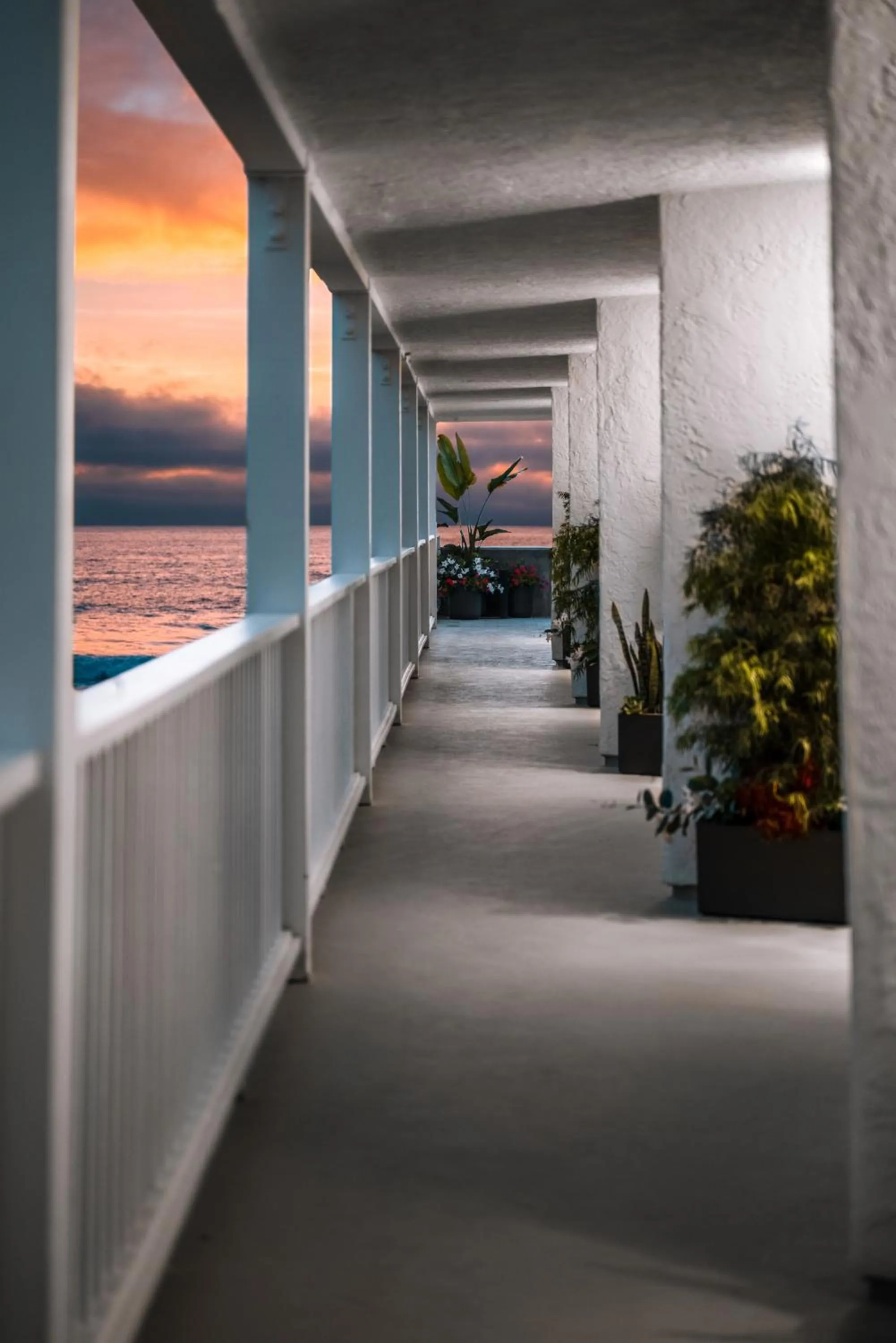 Property building in Del Mar Beach Hotel