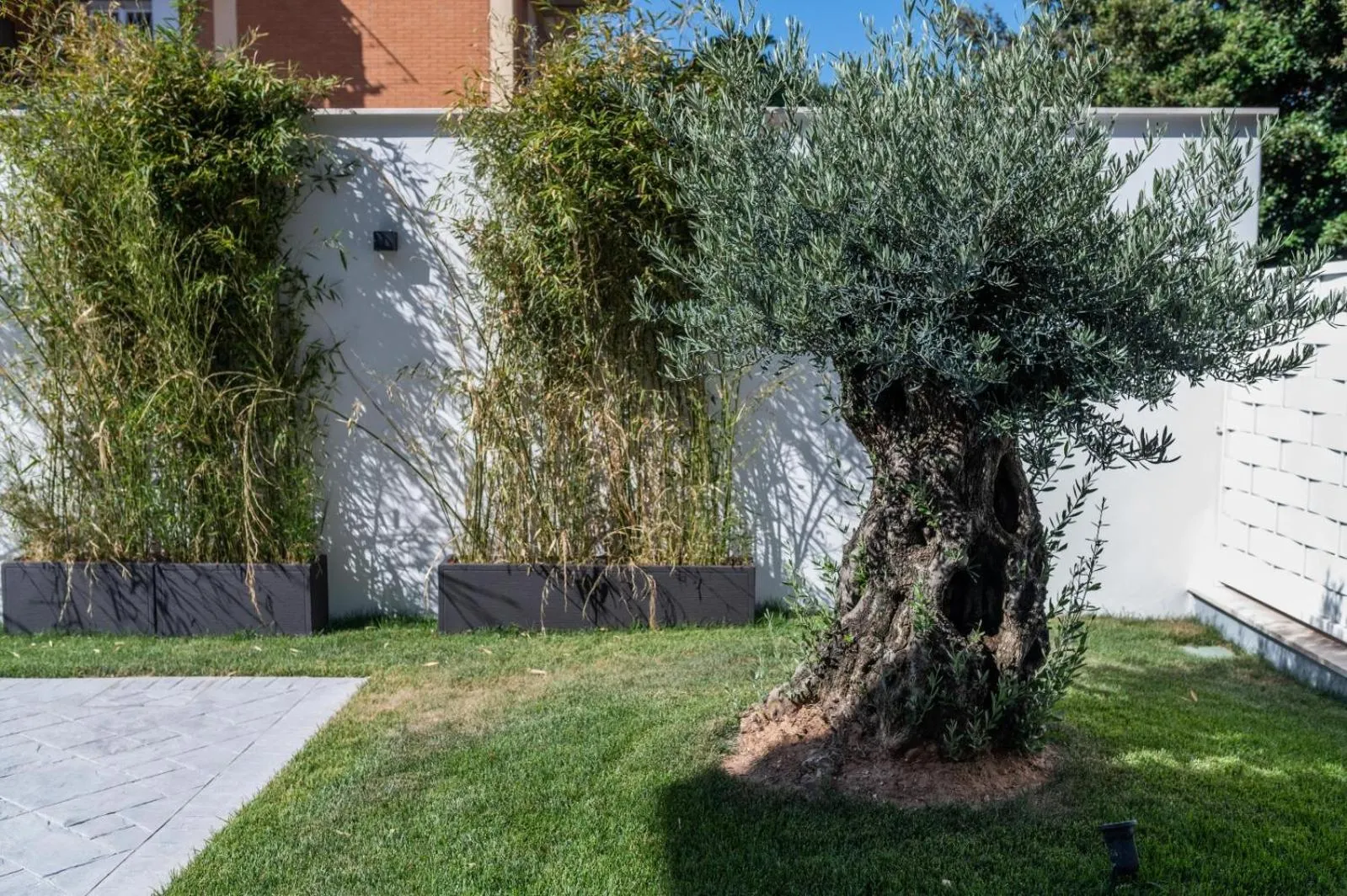 Garden in Grey House Guest House Luxury