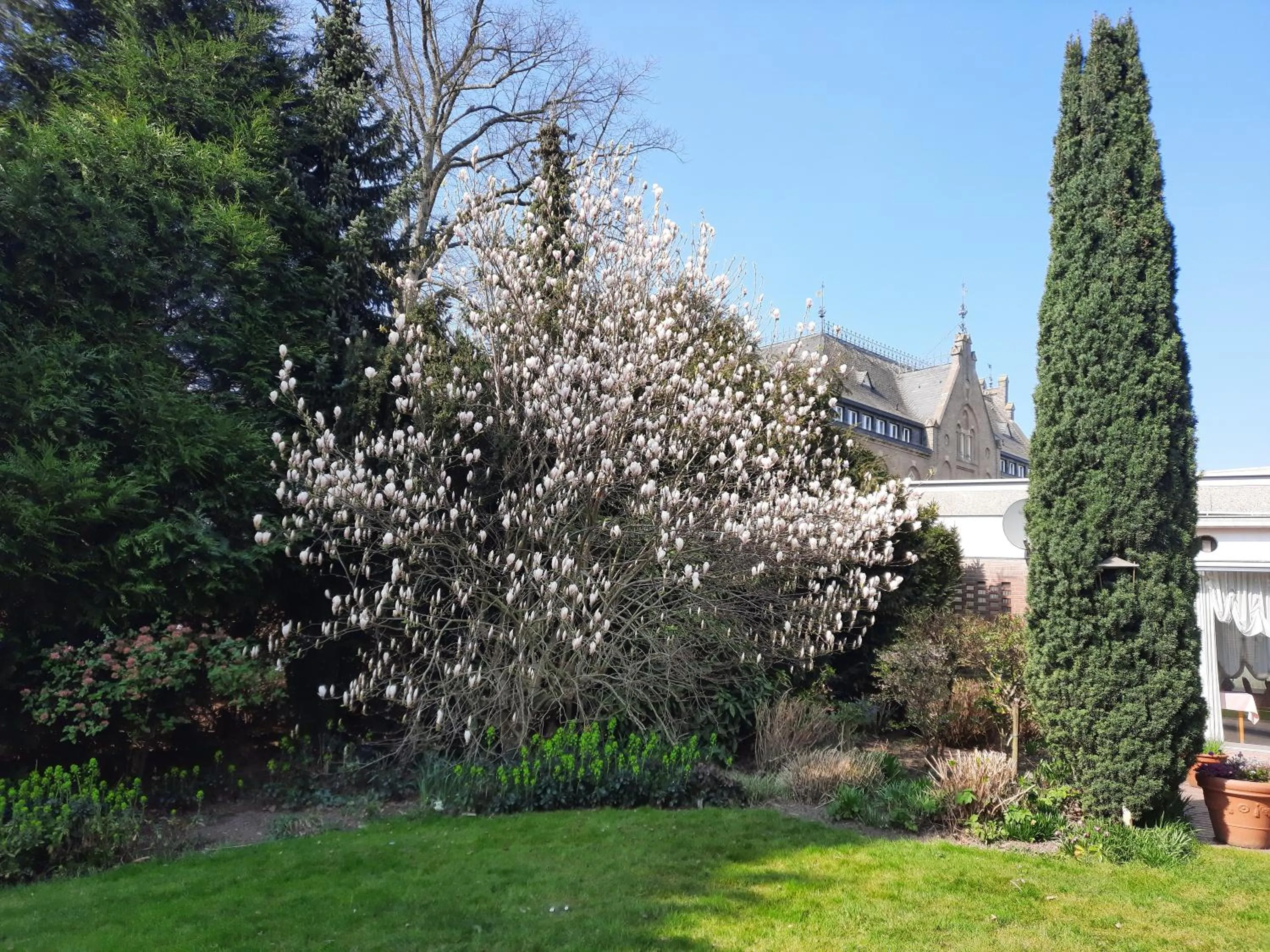Garden in Hotel zur Brücke