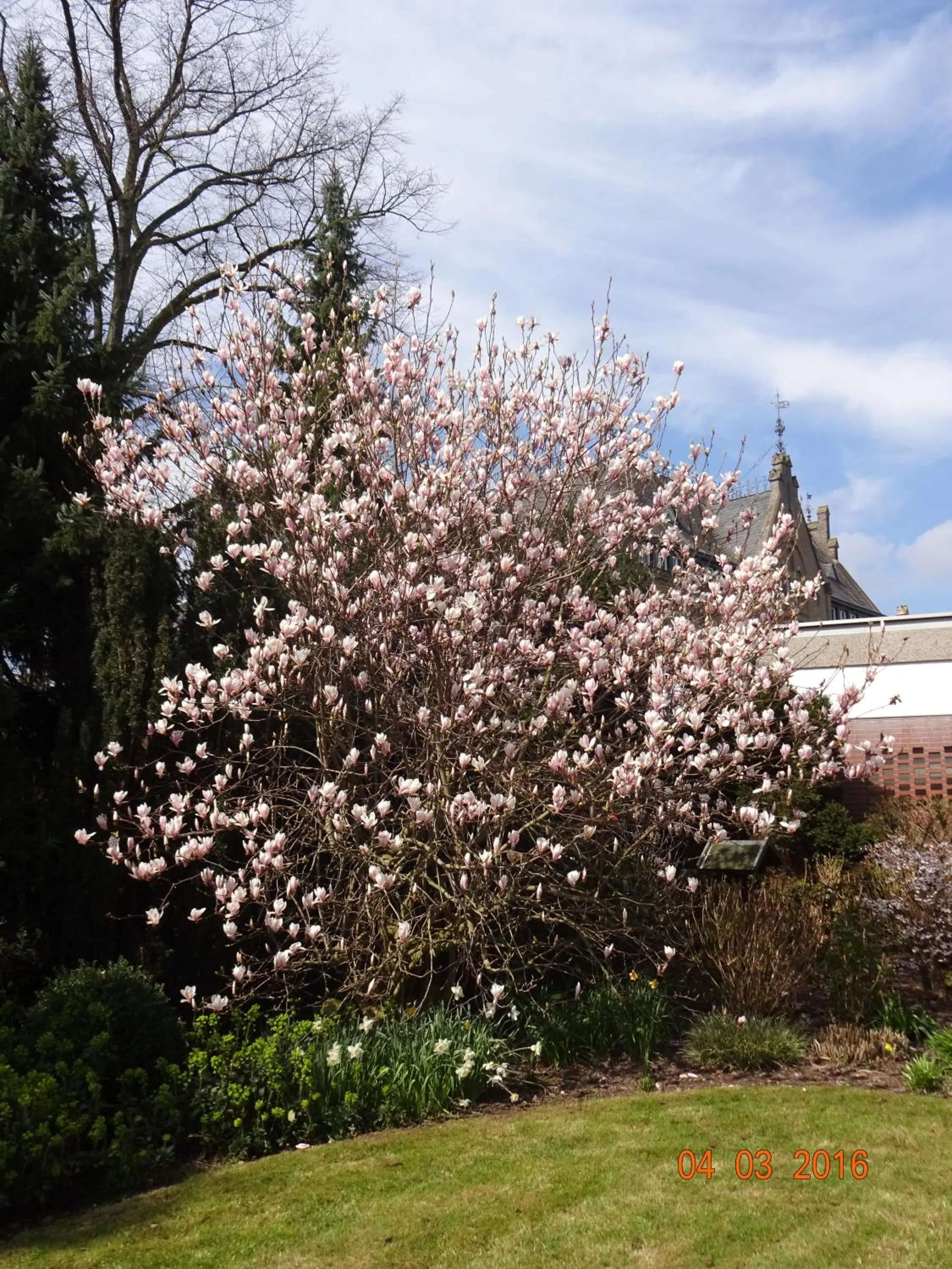 Spring in Hotel zur Brücke