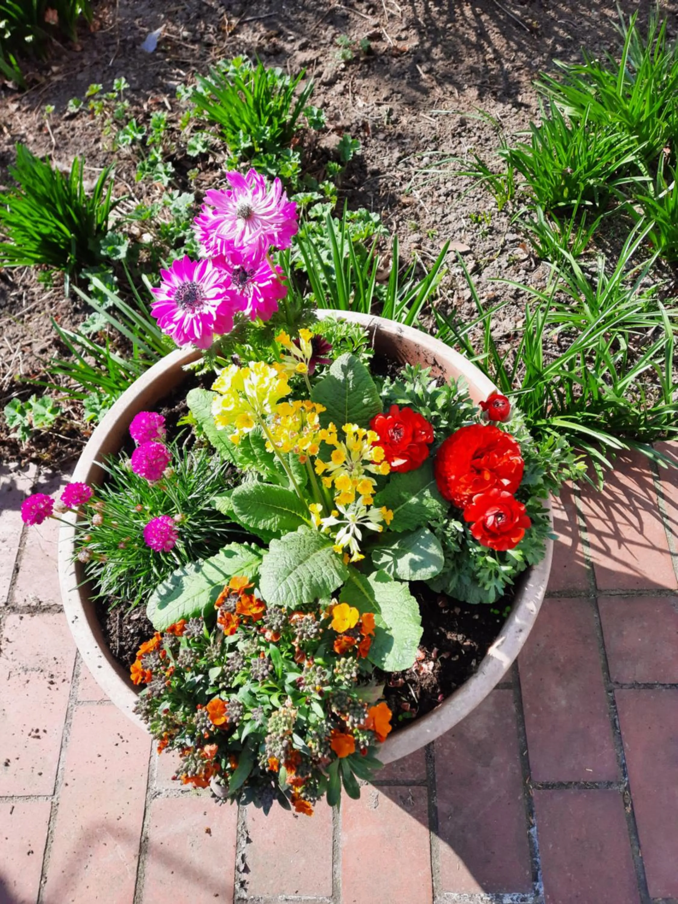 Garden in Hotel zur Brücke
