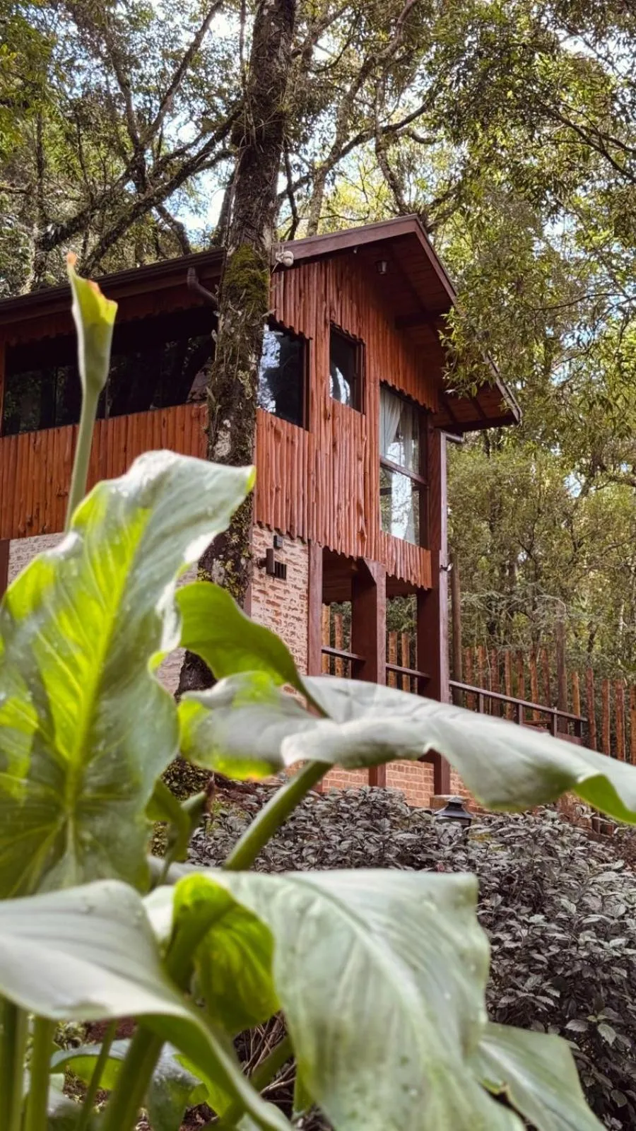 Garden in Estalagem Serra de Minas em Monte Verde