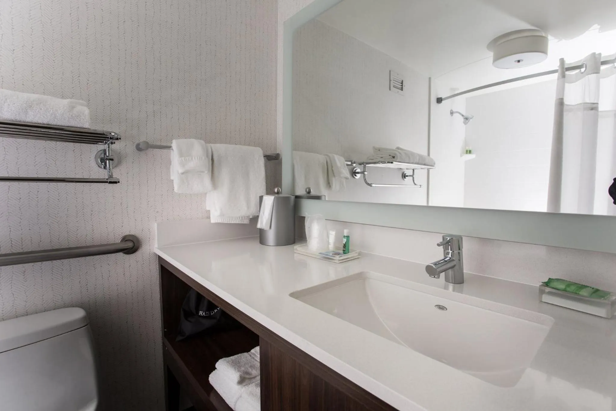 Bathroom in Holiday Inn Grand Rapids Downtown by IHG