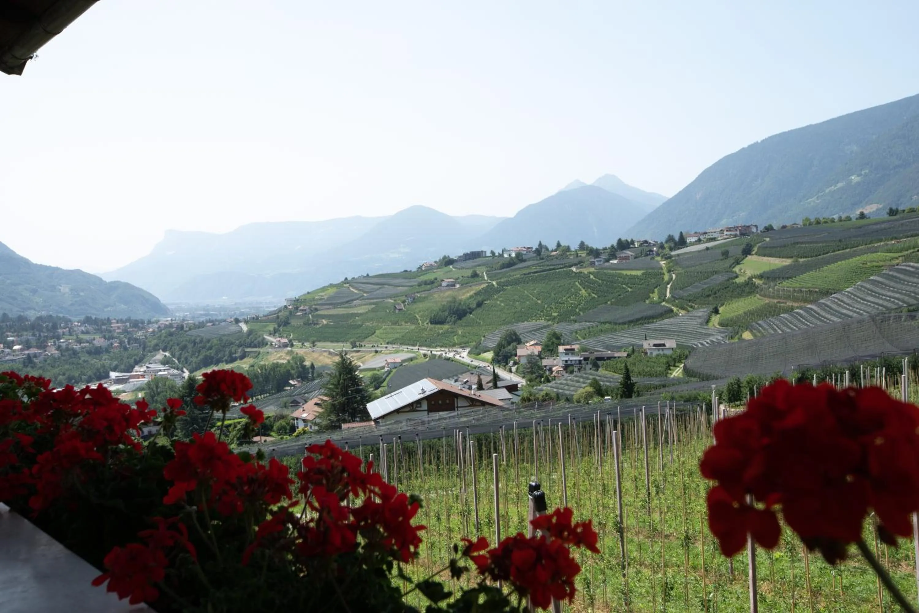 View (from property/room) in Nössinghof
