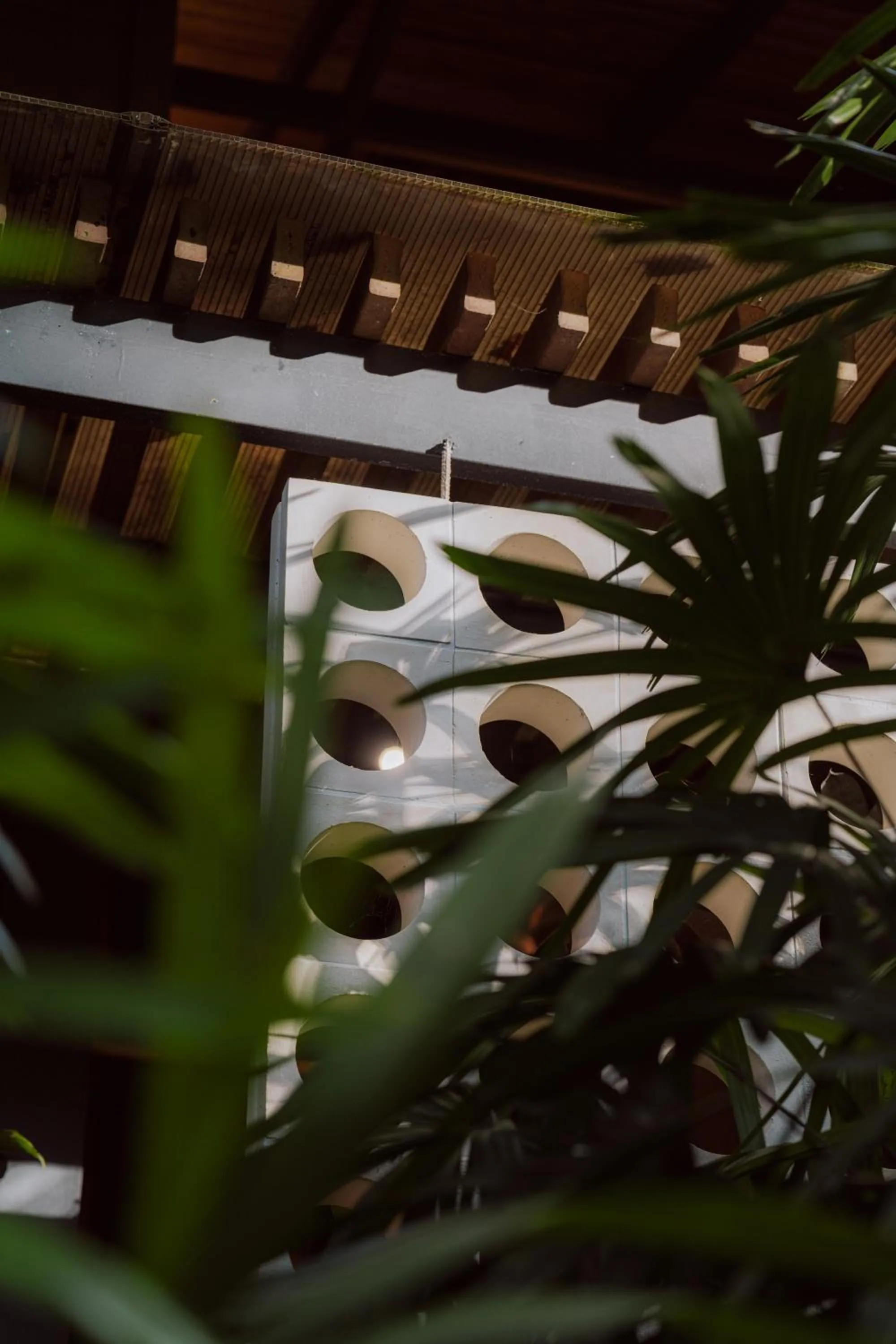 Garden in awā Beachfront Hotel