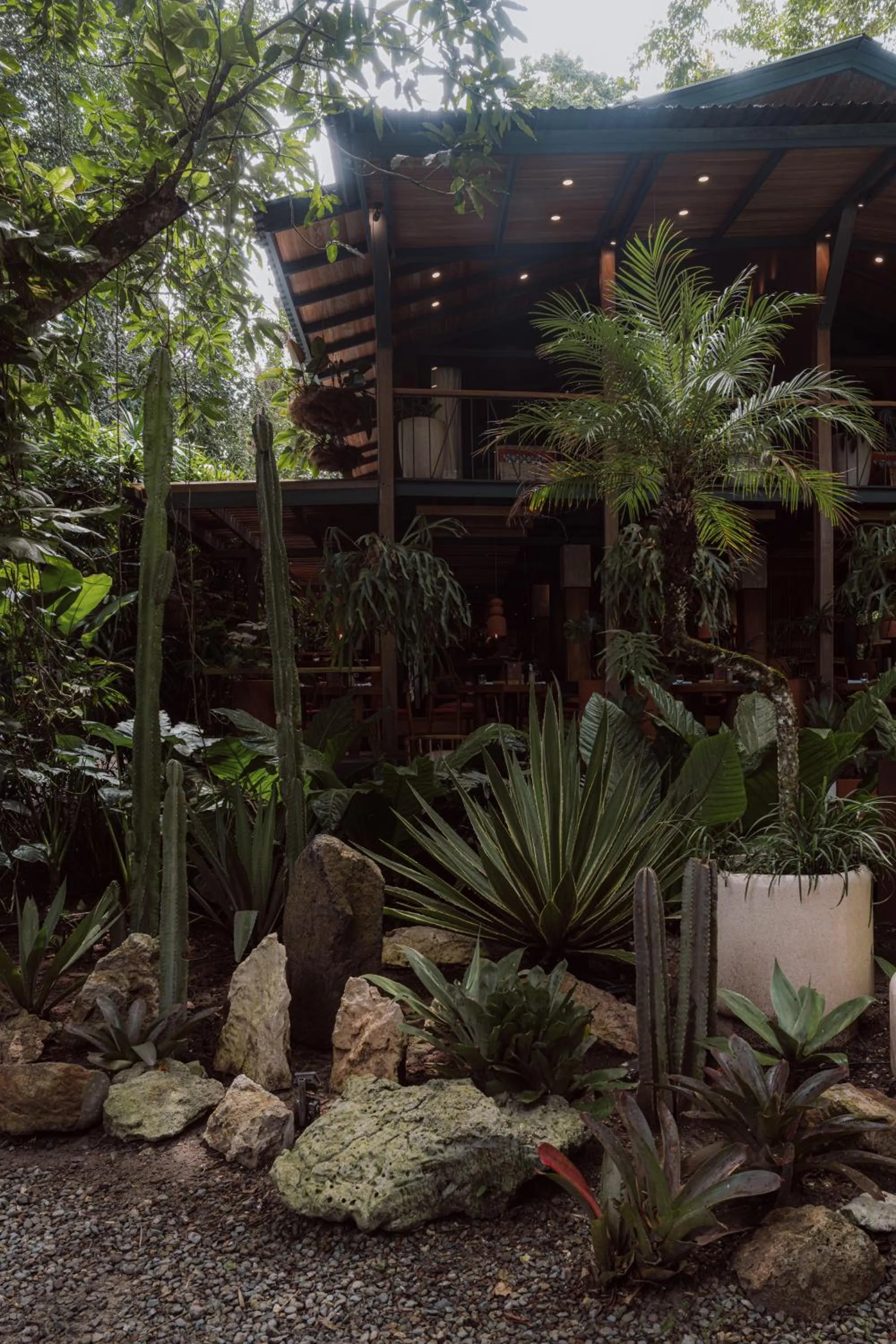 Garden in awā Beachfront Hotel
