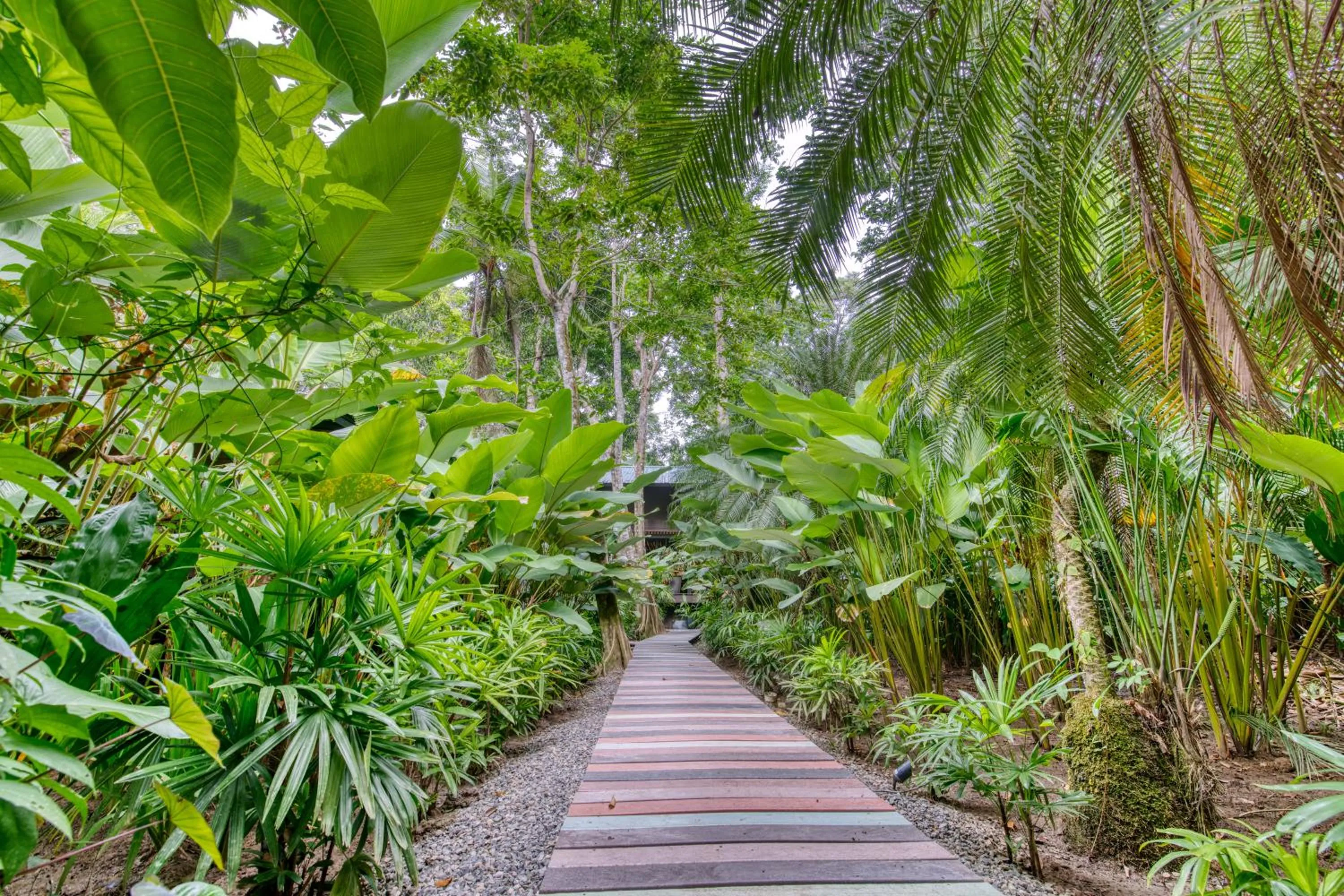 Natural landscape in awā Beachfront Hotel