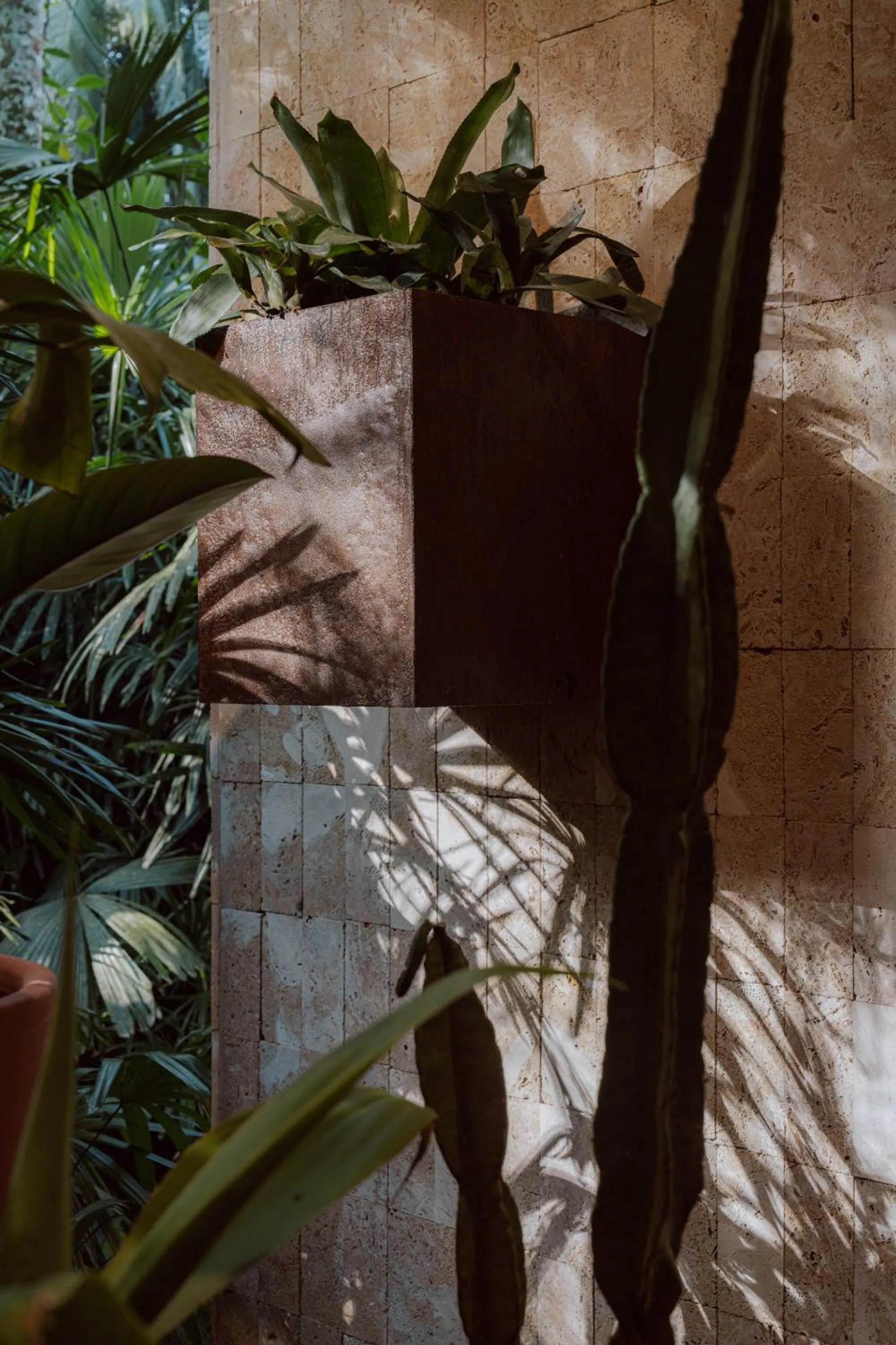 Garden in awā Beachfront Hotel