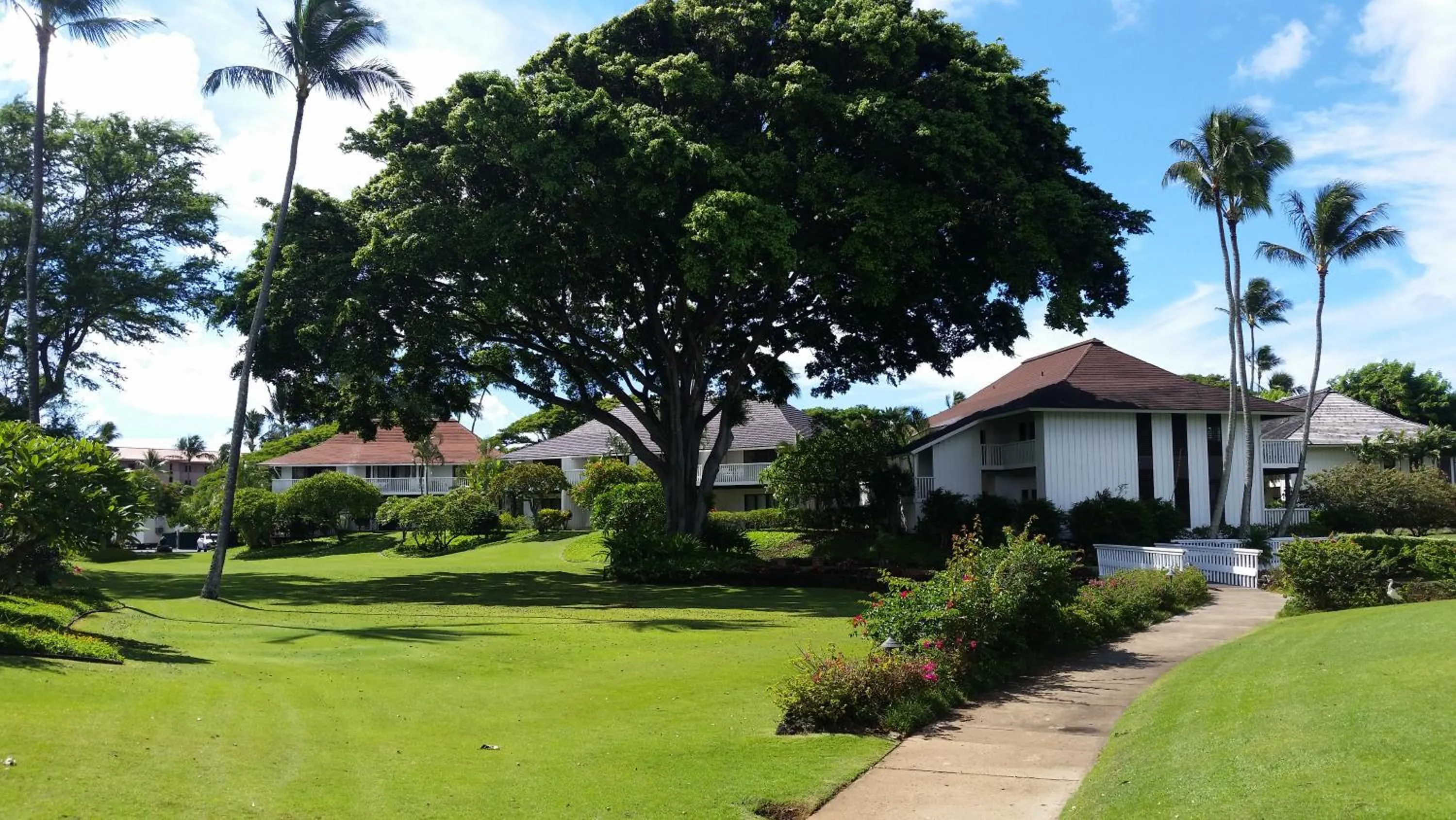 Garden in Kiahuna Plantation 96, Poipu Beach, Club Membership, Part Ocean View, Kids Toys