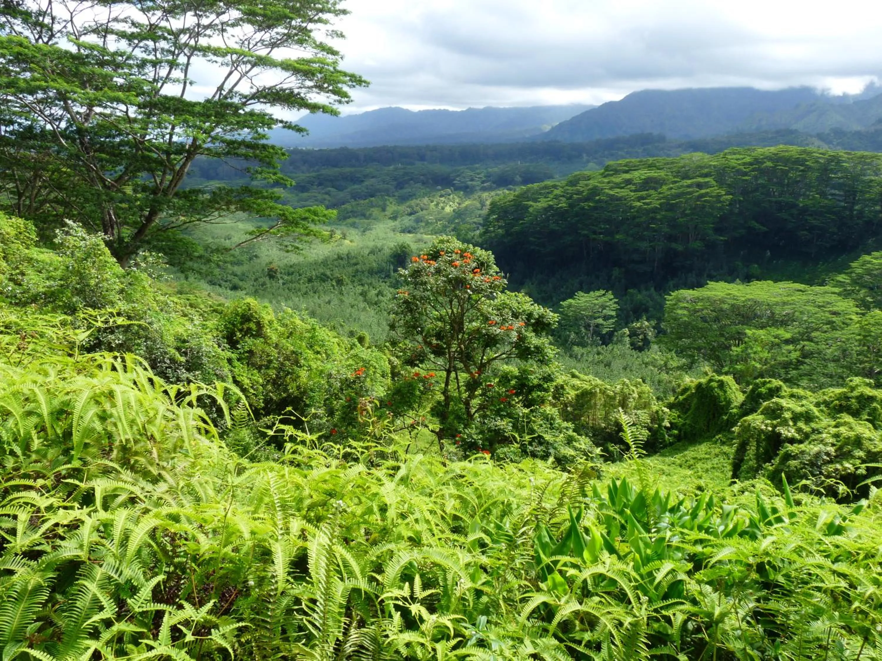 Hiking in Kiahuna Plantation 96, Poipu Beach, Club Membership, Part Ocean View, Kids Toys