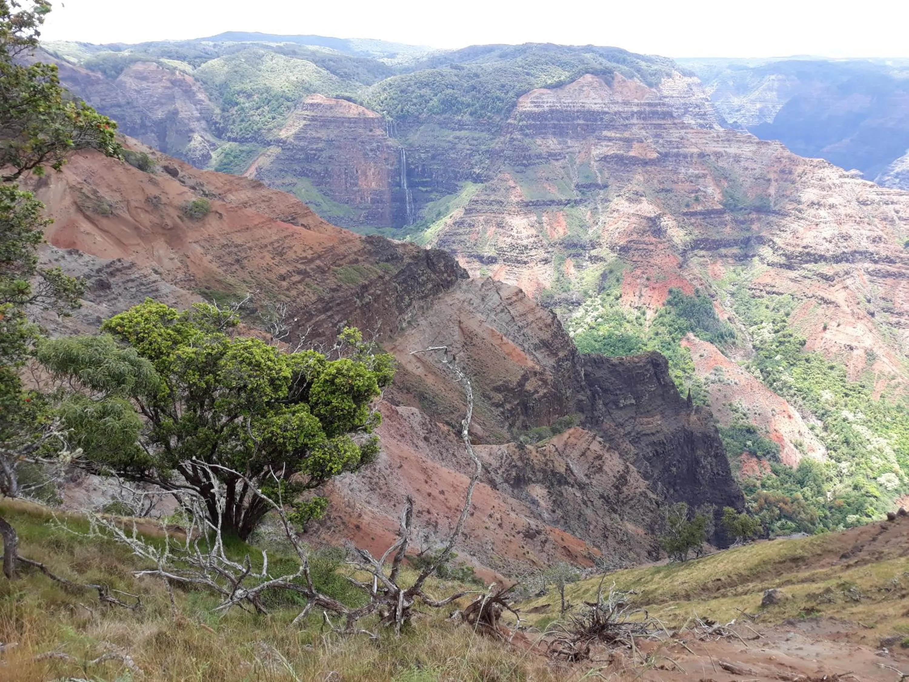 Mountain view in Kiahuna Plantation 96, Poipu Beach, Club Membership, Part Ocean View, Kids Toys