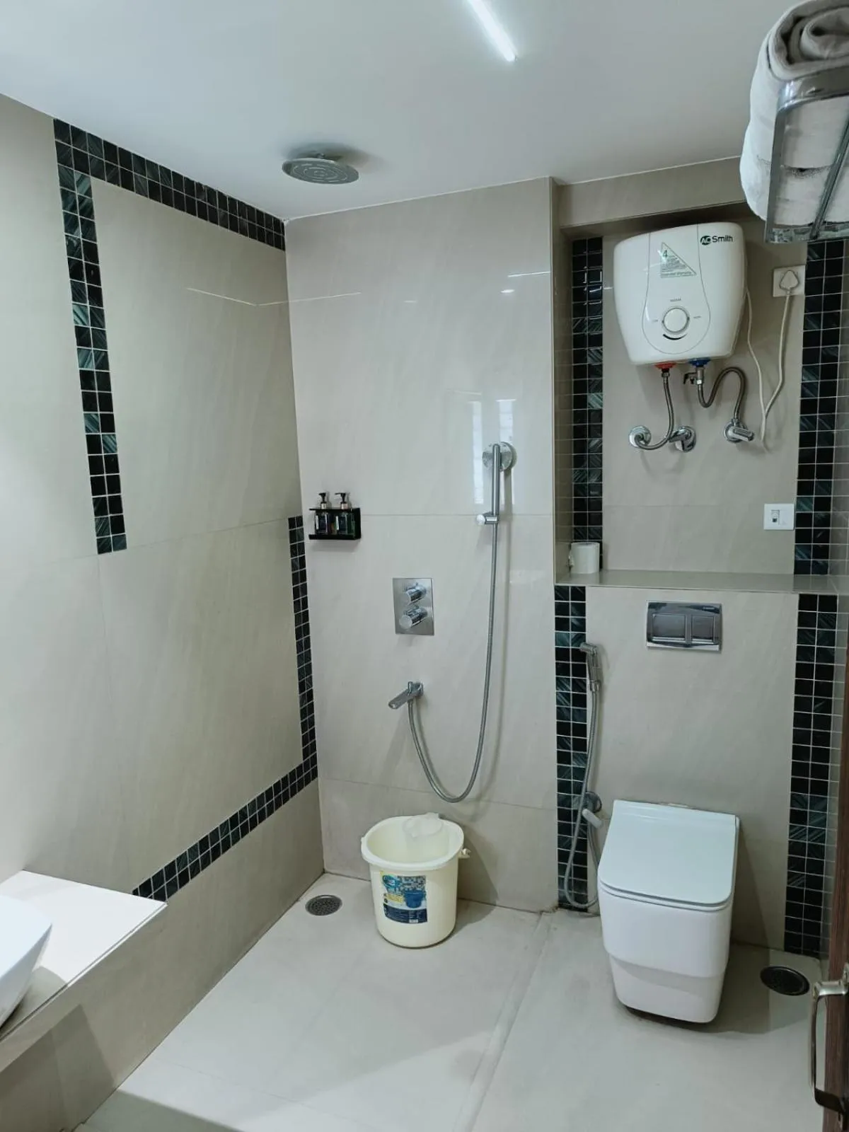 Toilet in Alba Premier, Indore