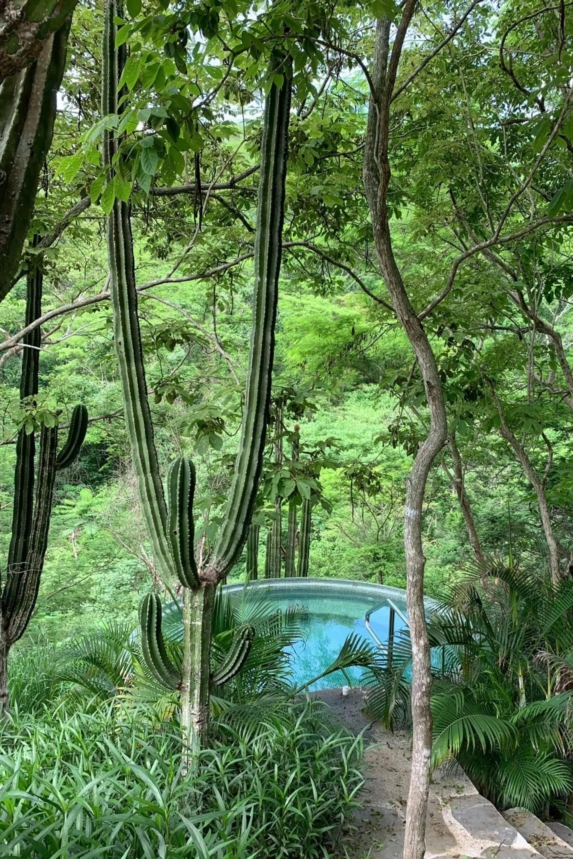 Swimming pool in Delta Hotels by Marriott Riviera Nayarit, an All-Inclusive Resort