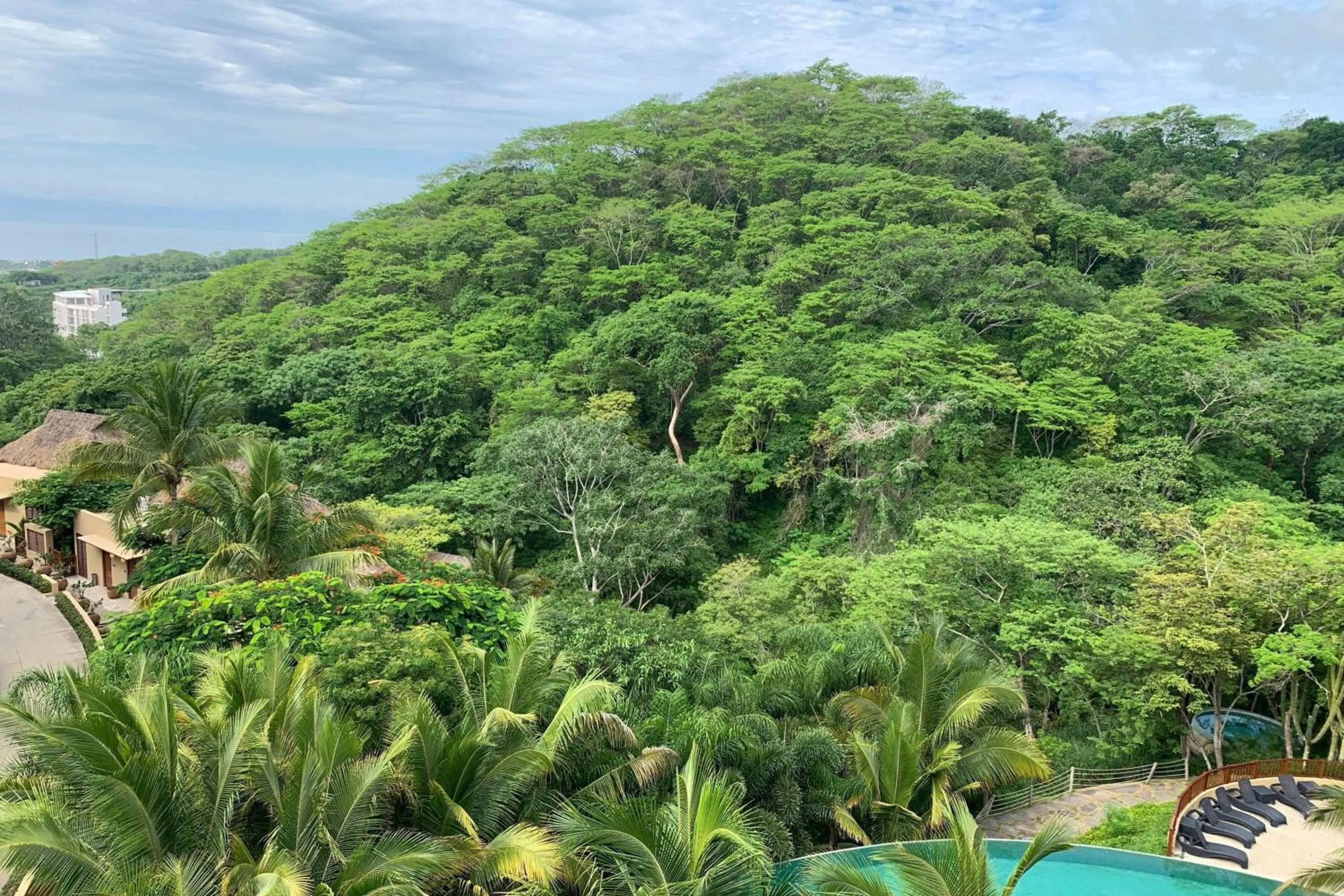 View (from property/room) in Delta Hotels by Marriott Riviera Nayarit, an All-Inclusive Resort