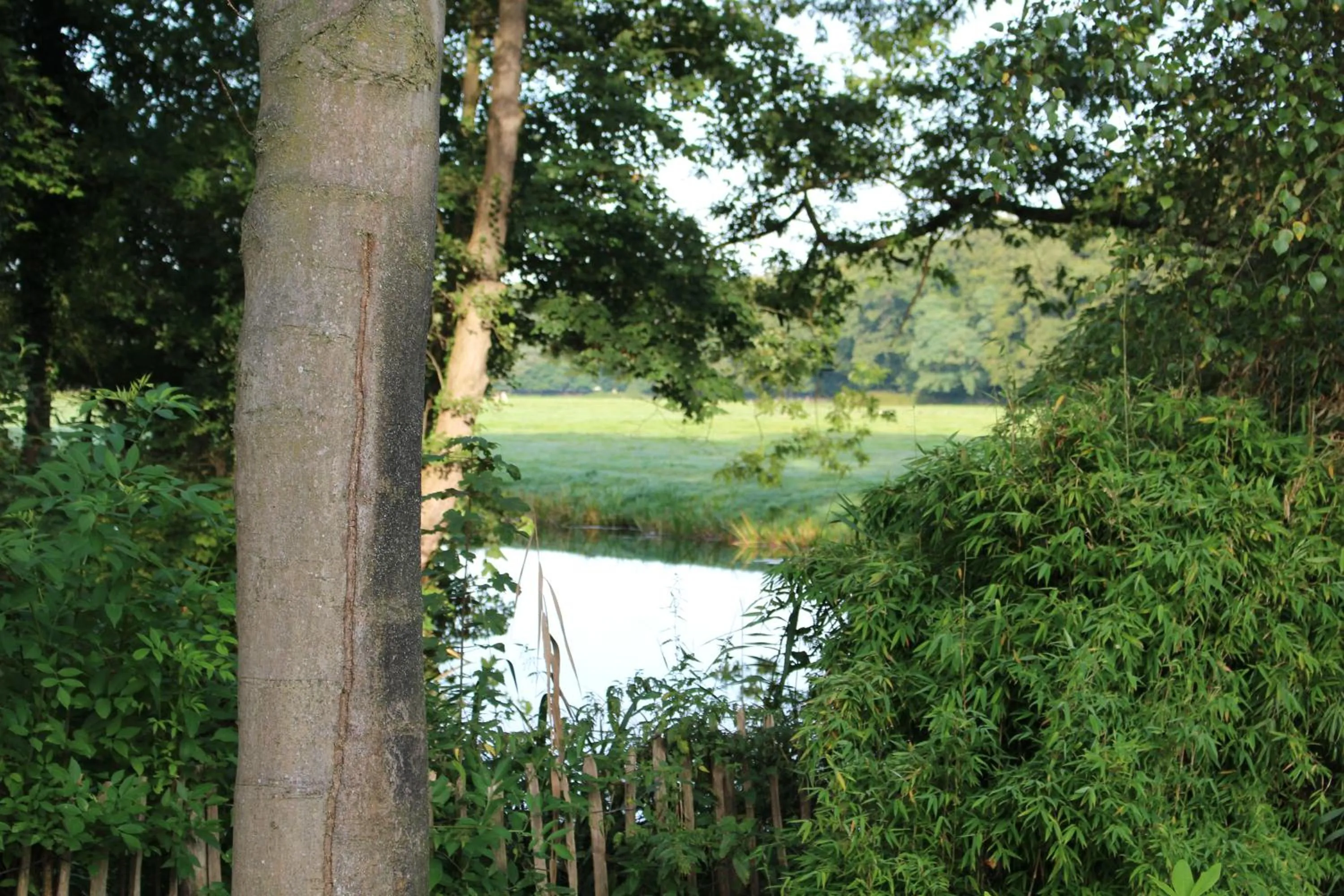 Natural landscape in Huize Koempoelan