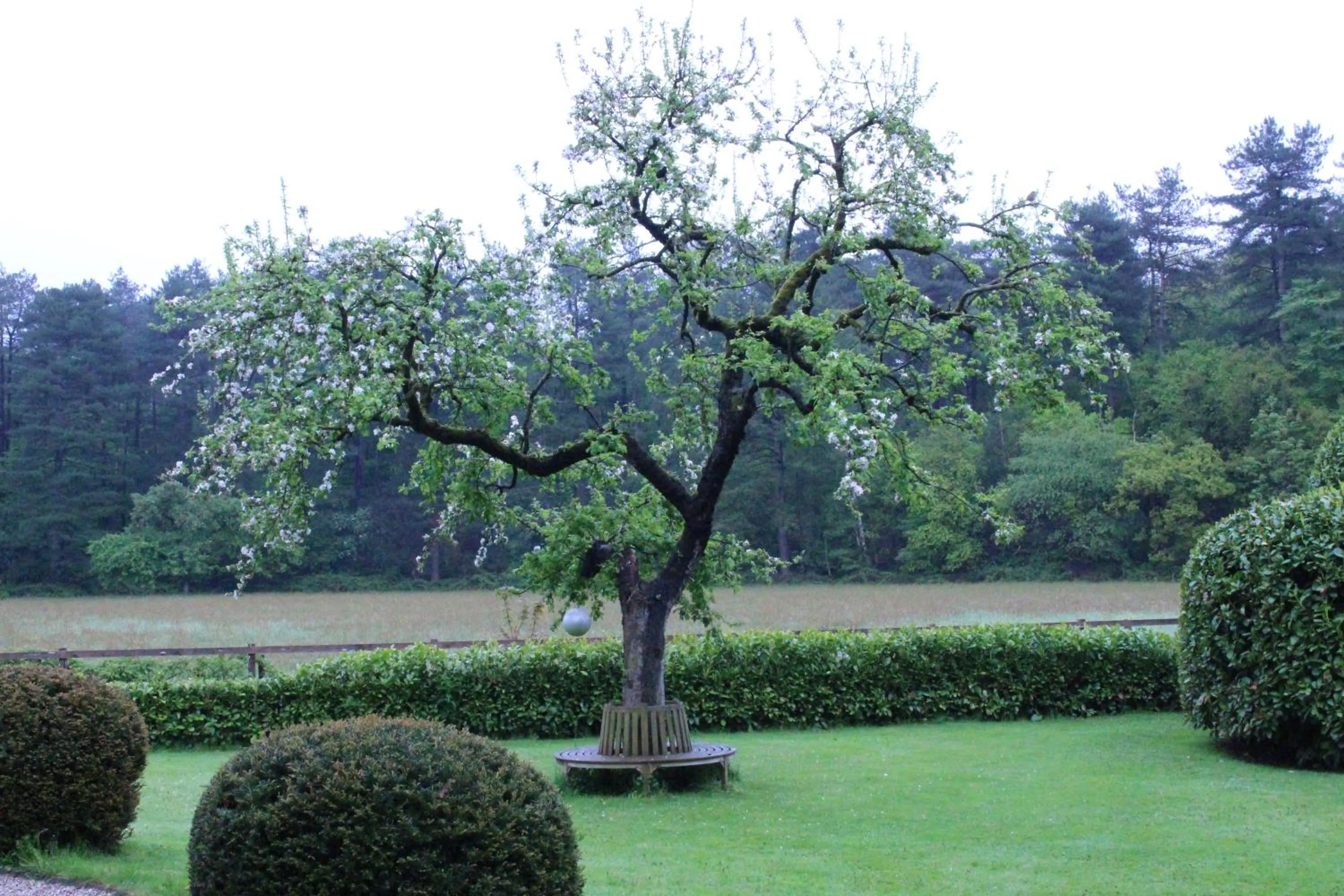 Garden view in Huize Koempoelan