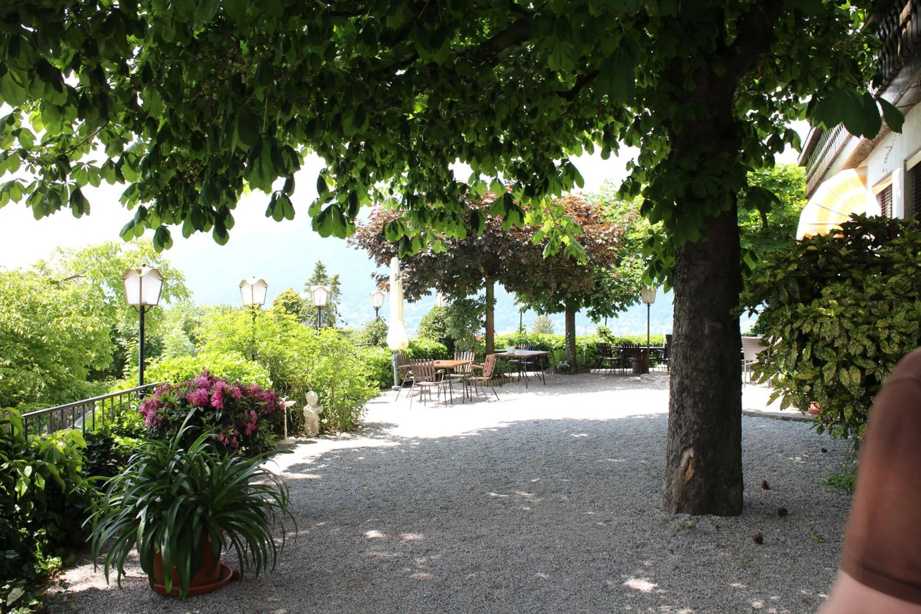 Restaurant/places to eat in Aldranser Hof