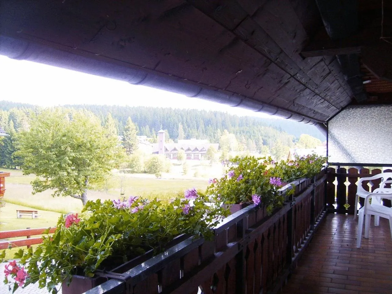 Balcony/Terrace in Pension Wiesengrund