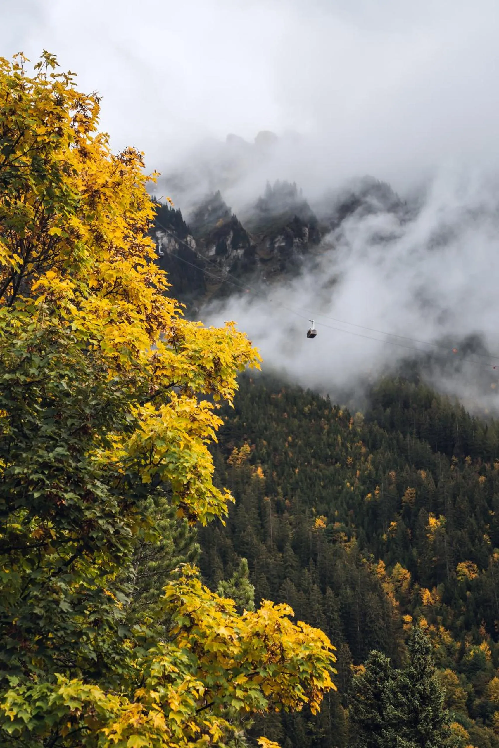 View (from property/room) in Hotel Jungfraublick