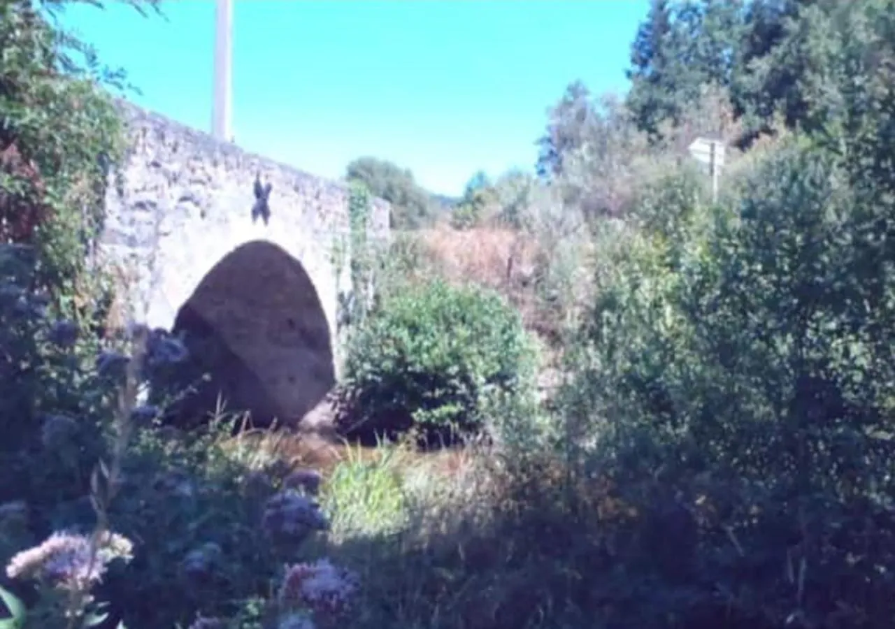 River view in Dormez dans la chambre du meunier !