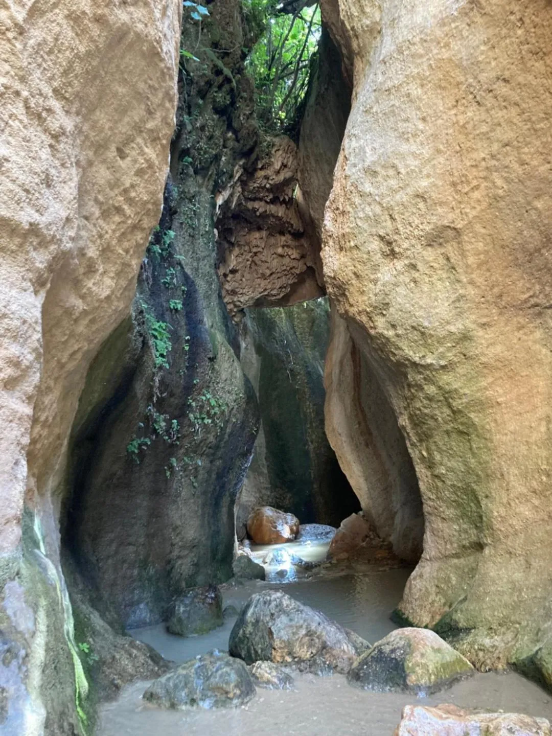 Hiking in Casa Limon