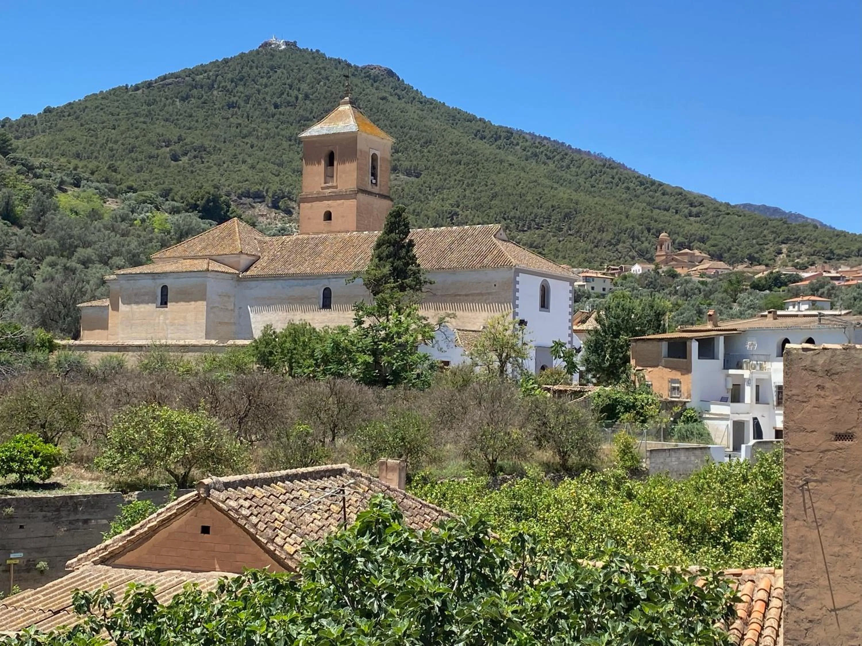 View (from property/room) in Casa Limon