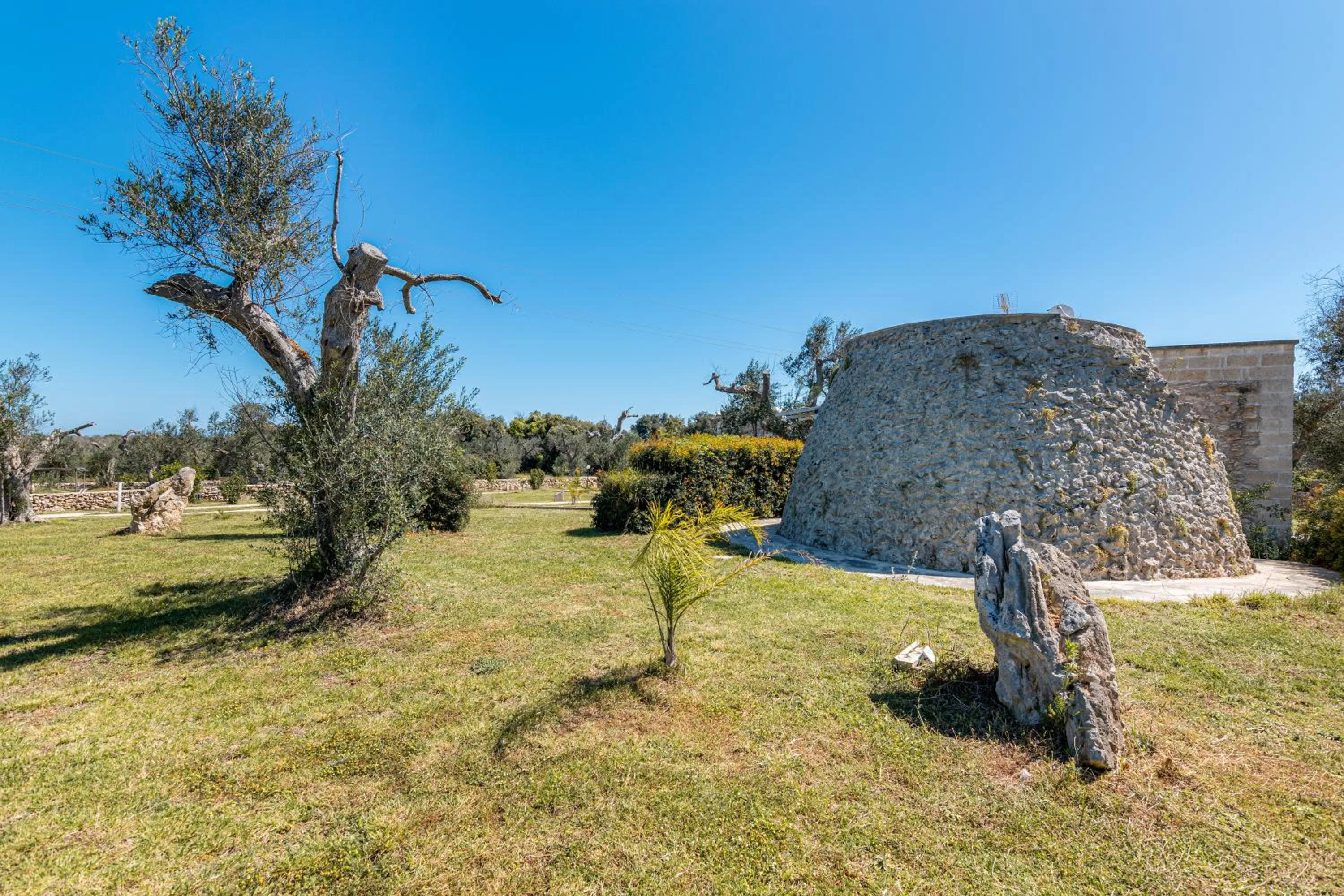 Natural landscape in Tenuta San Lorenzo