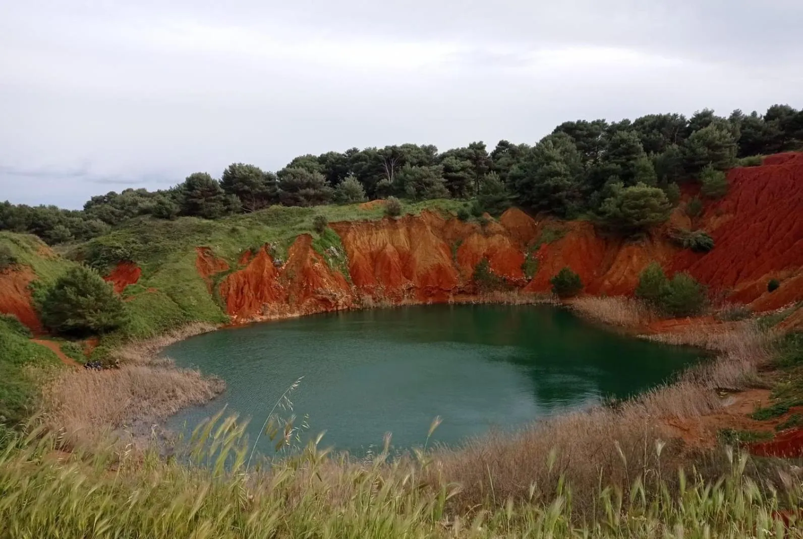 Natural landscape in Tenuta San Lorenzo