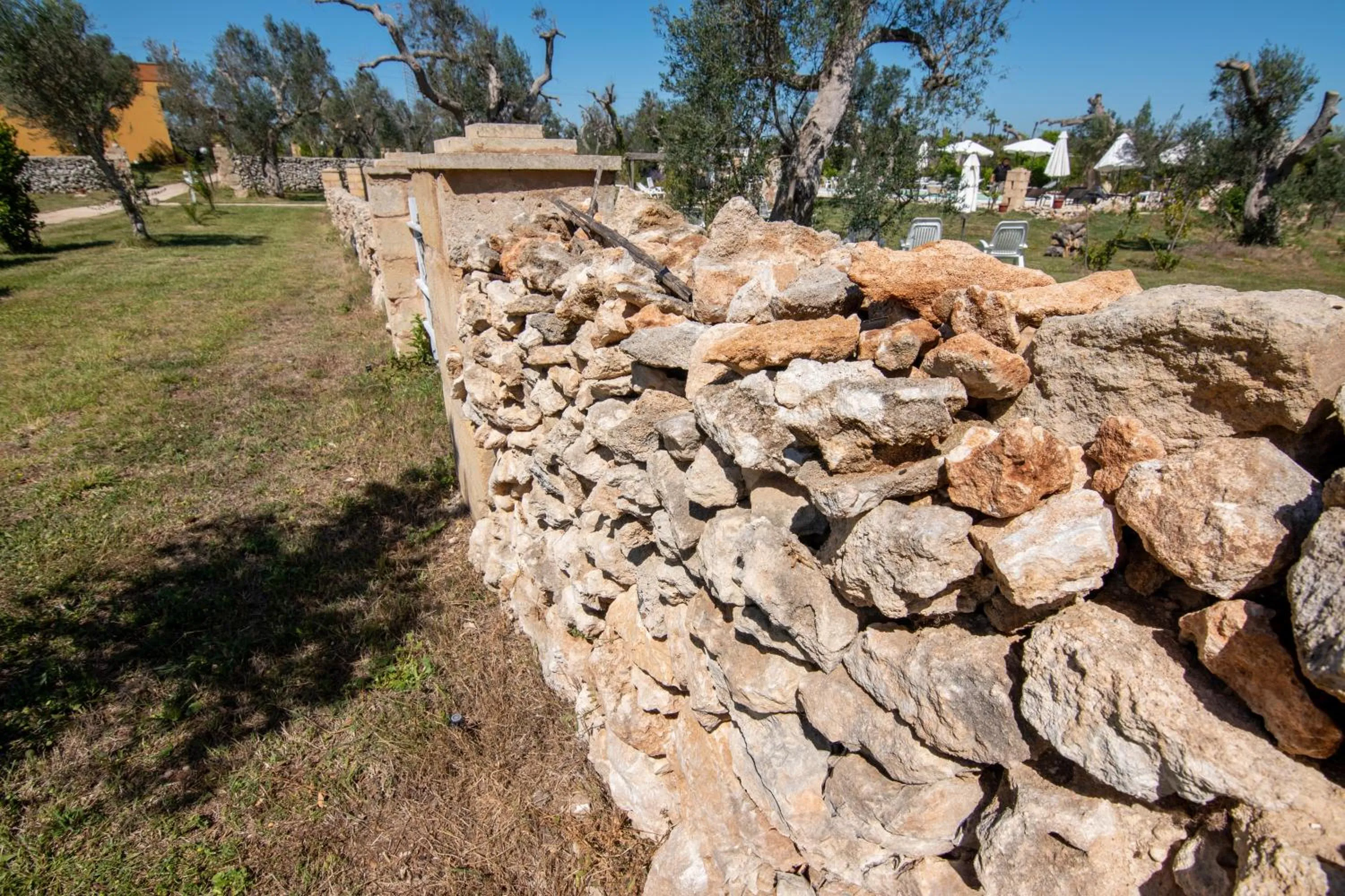 Garden in Tenuta San Lorenzo