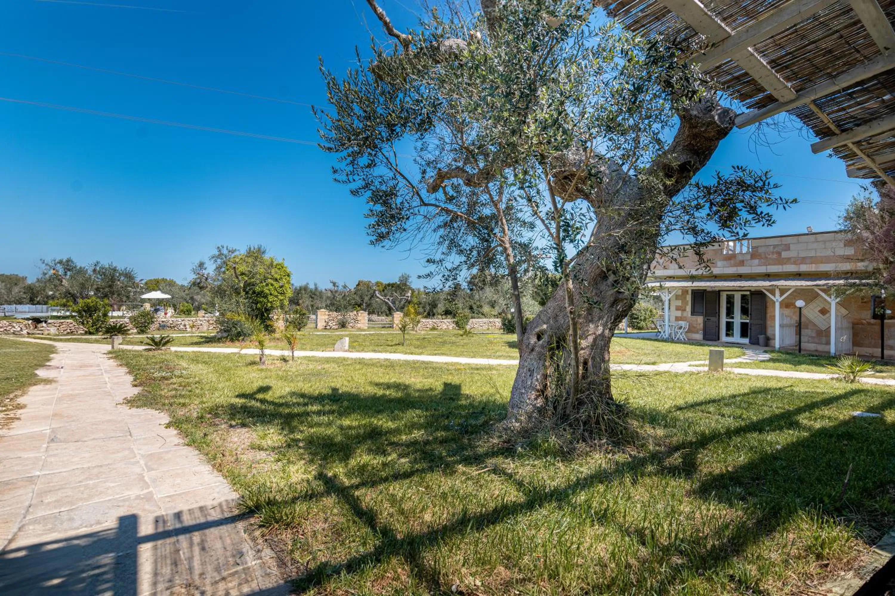 Property building in Tenuta San Lorenzo