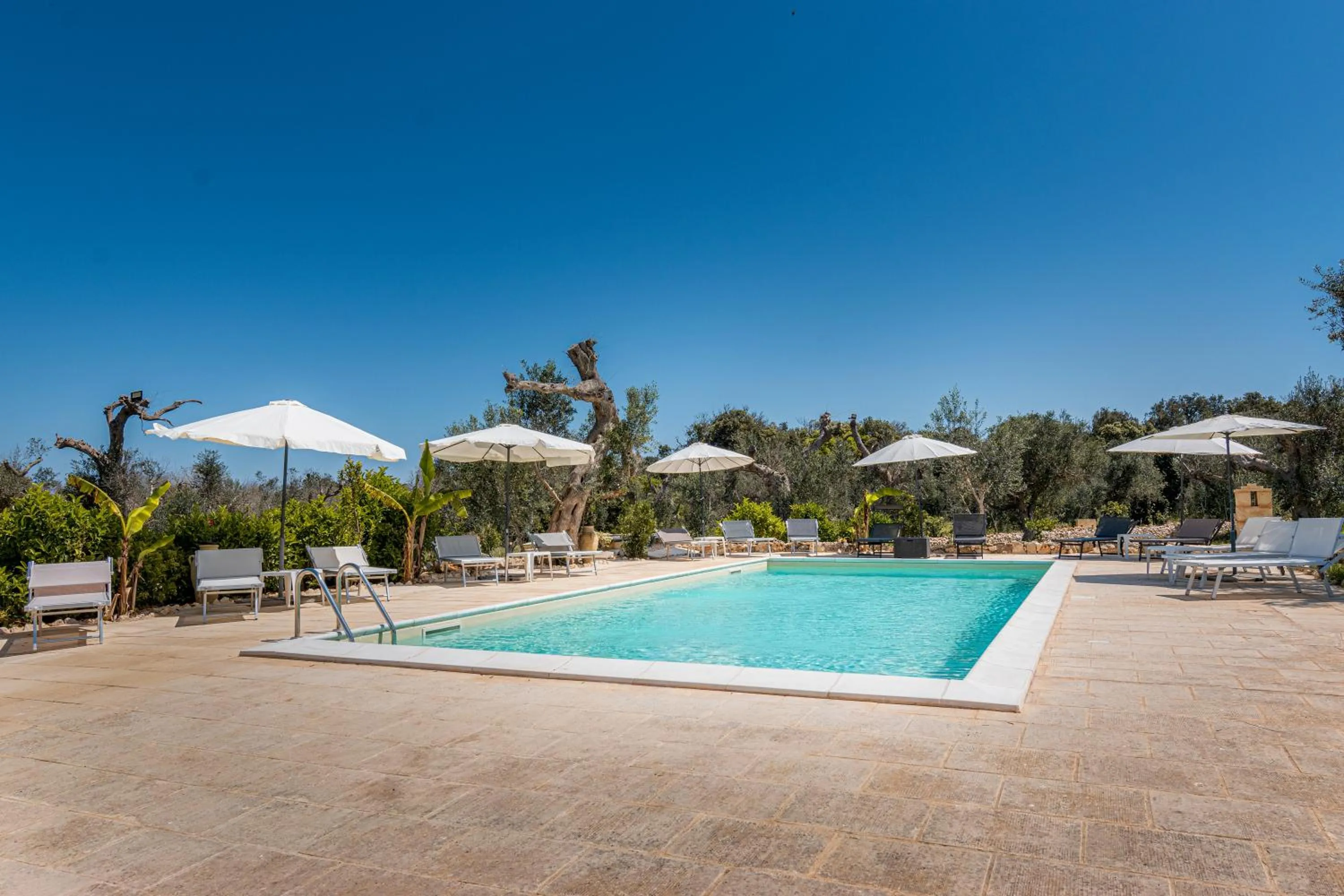 Pool view in Tenuta San Lorenzo