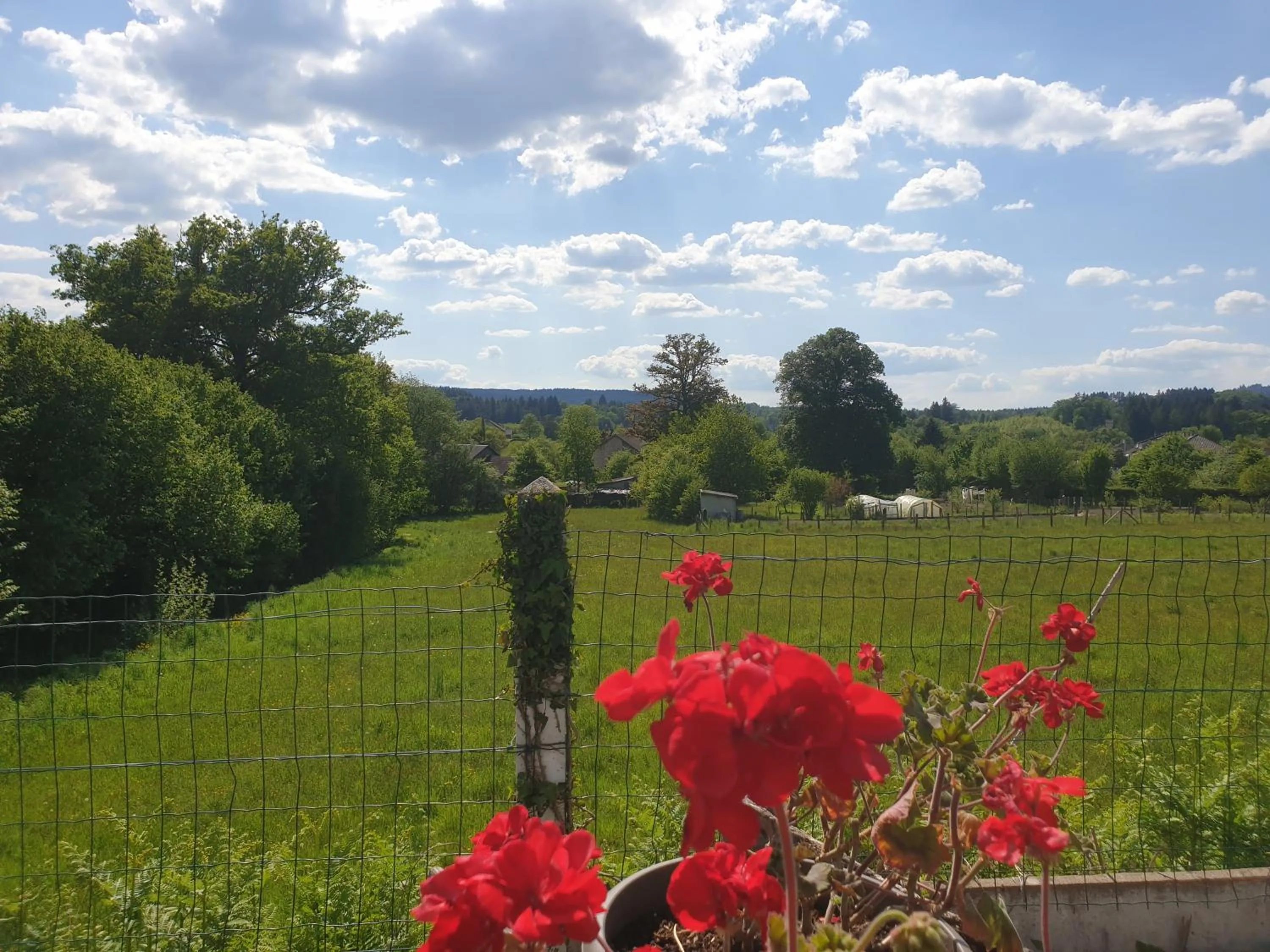 Auberge du Bois de l'étang - Motel les Tilleuls