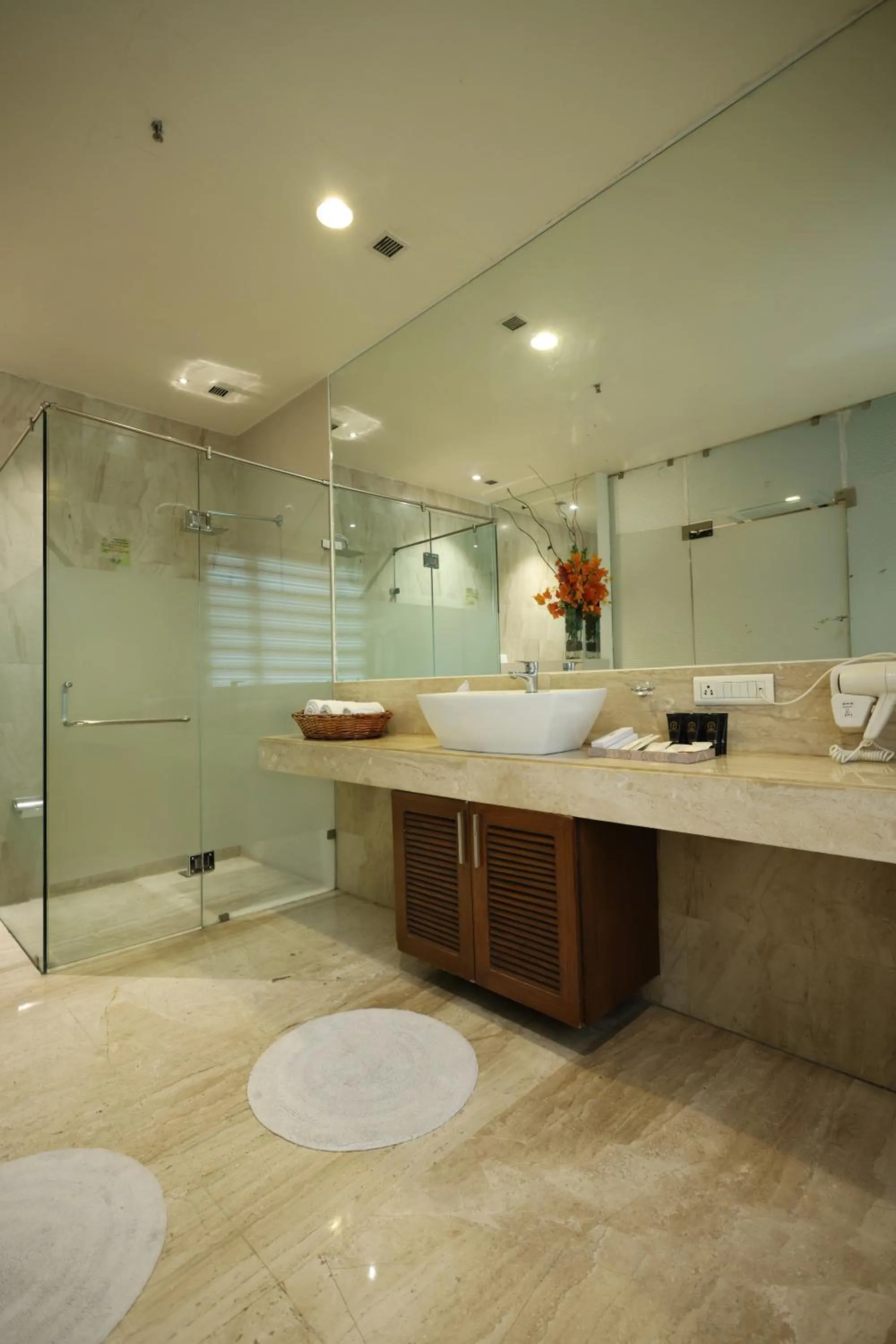Bathroom in Godwin Meerut
