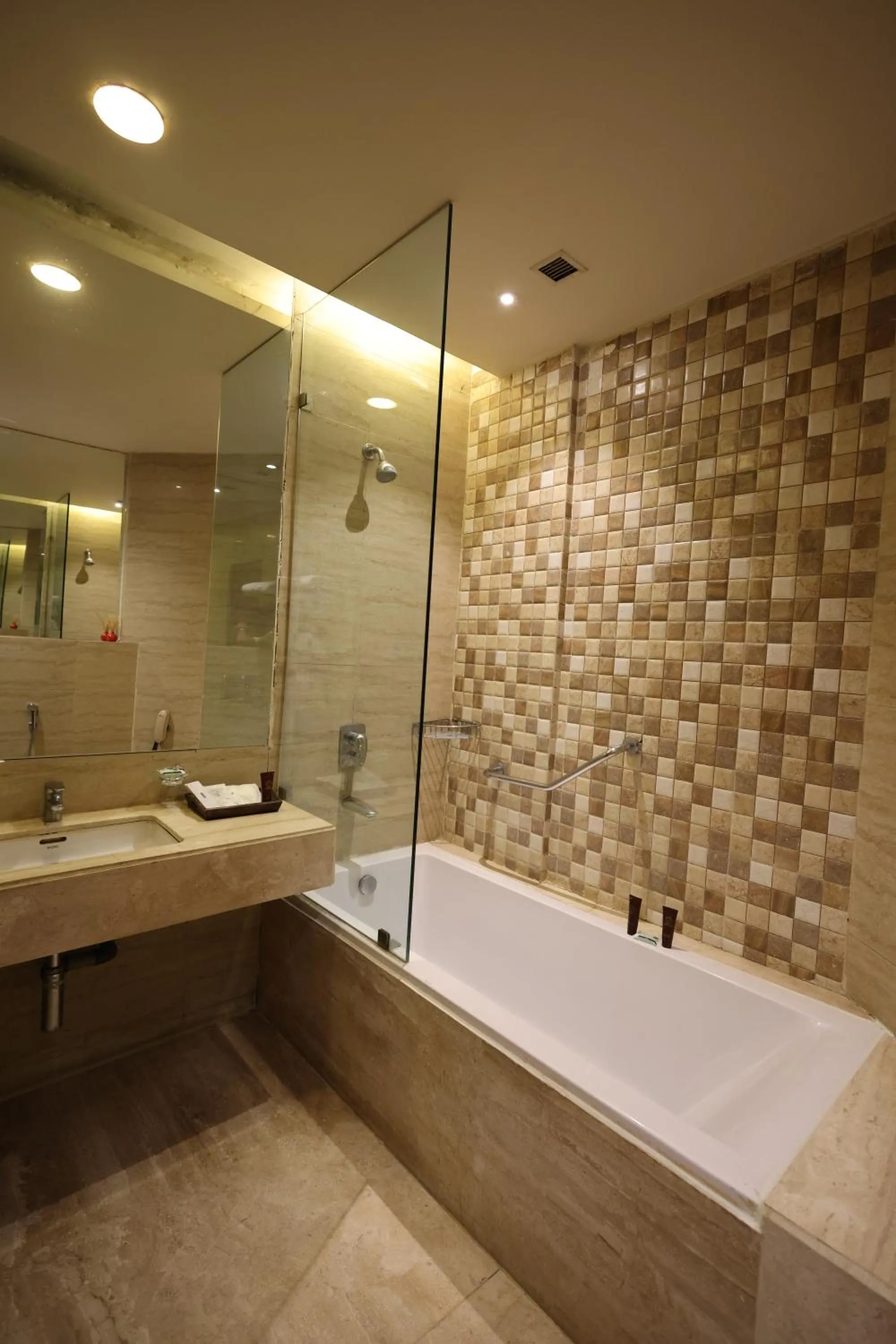 Bathroom in Godwin Meerut