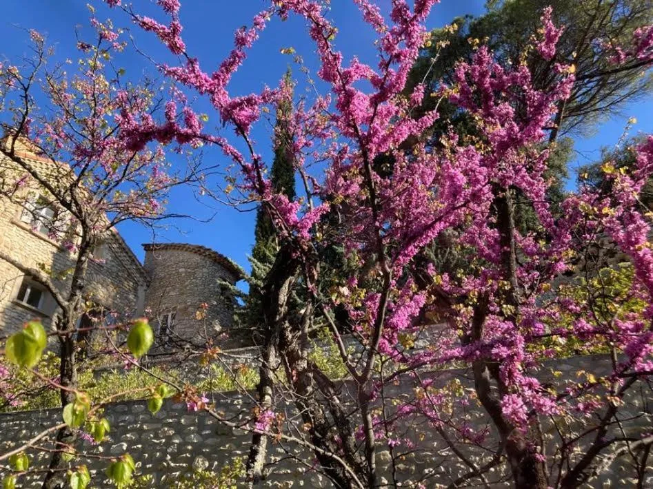 Suite Royale- SPA - Jacuzzi - Sauna - Massage - 2 Double Rooms - 4 SAISONS - Piscine Chauffée Toute l'année - POOL VIEW - Heated POOL -800m City Centre