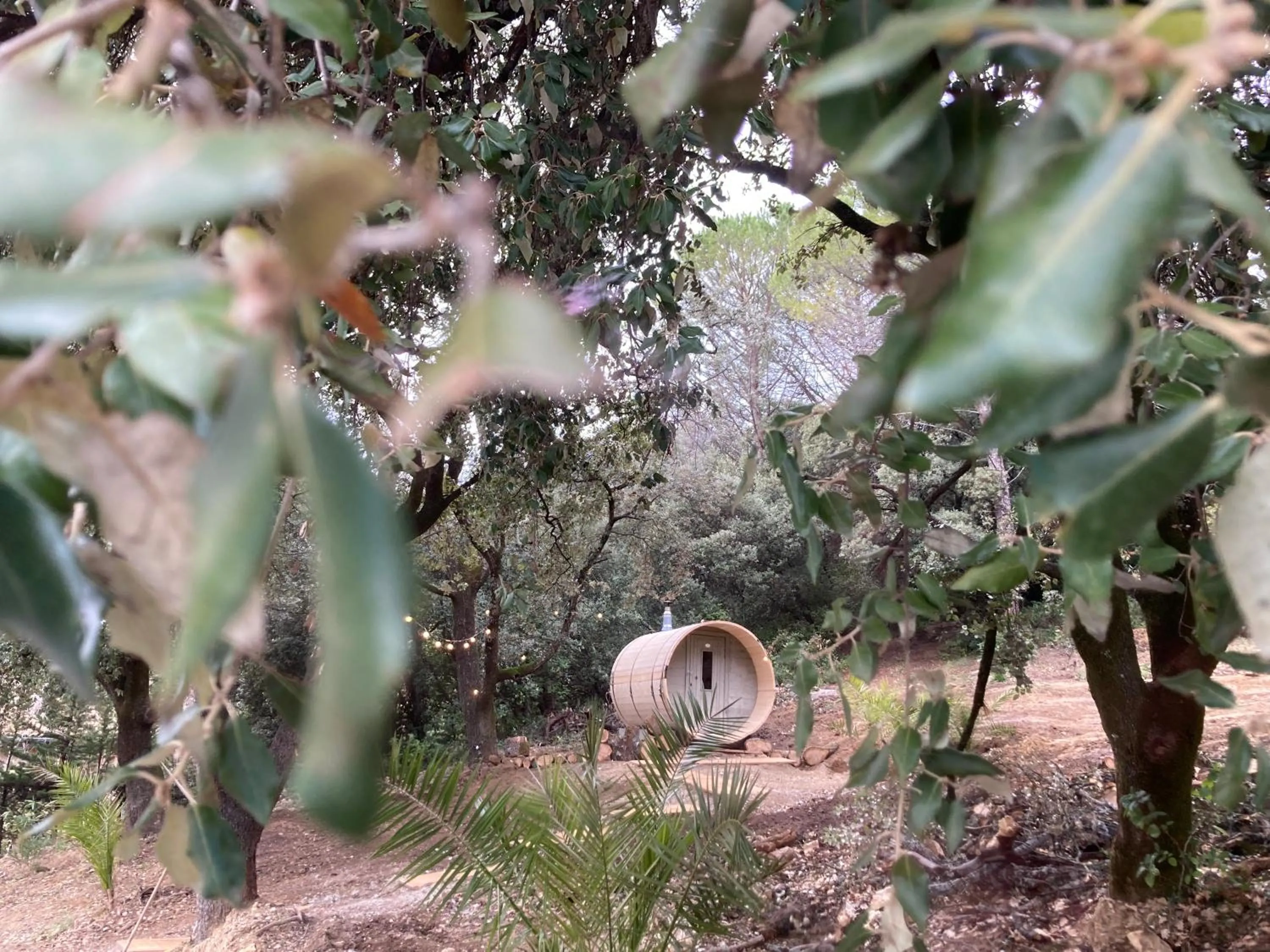 Suite Royale- SPA - Jacuzzi - Sauna - Massage - 2 Double Rooms - 4 SAISONS - Piscine Chauffée Toute l'année - POOL VIEW - Heated POOL -800m City Centre