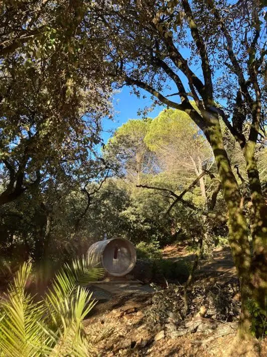 Suite Royale- SPA - Jacuzzi - Sauna - Massage - 2 Double Rooms - 4 SAISONS - Piscine Chauffée Toute l'année - POOL VIEW - Heated POOL -800m City Centre