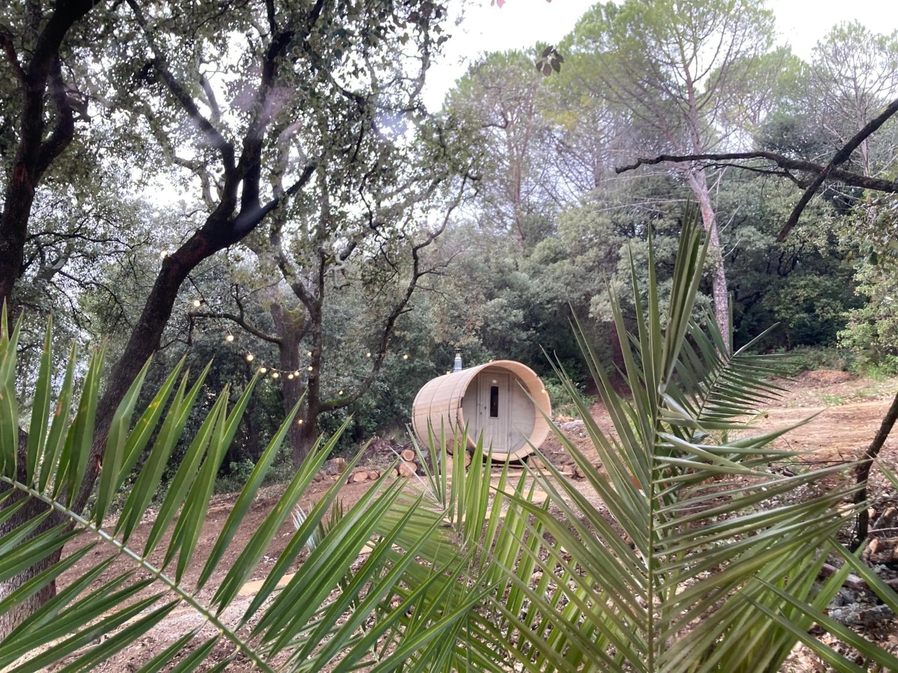 Suite Royale- SPA - Jacuzzi - Sauna - Massage - 2 Double Rooms - 4 SAISONS - Piscine Chauffée Toute l'année - POOL VIEW - Heated POOL -800m City Centre