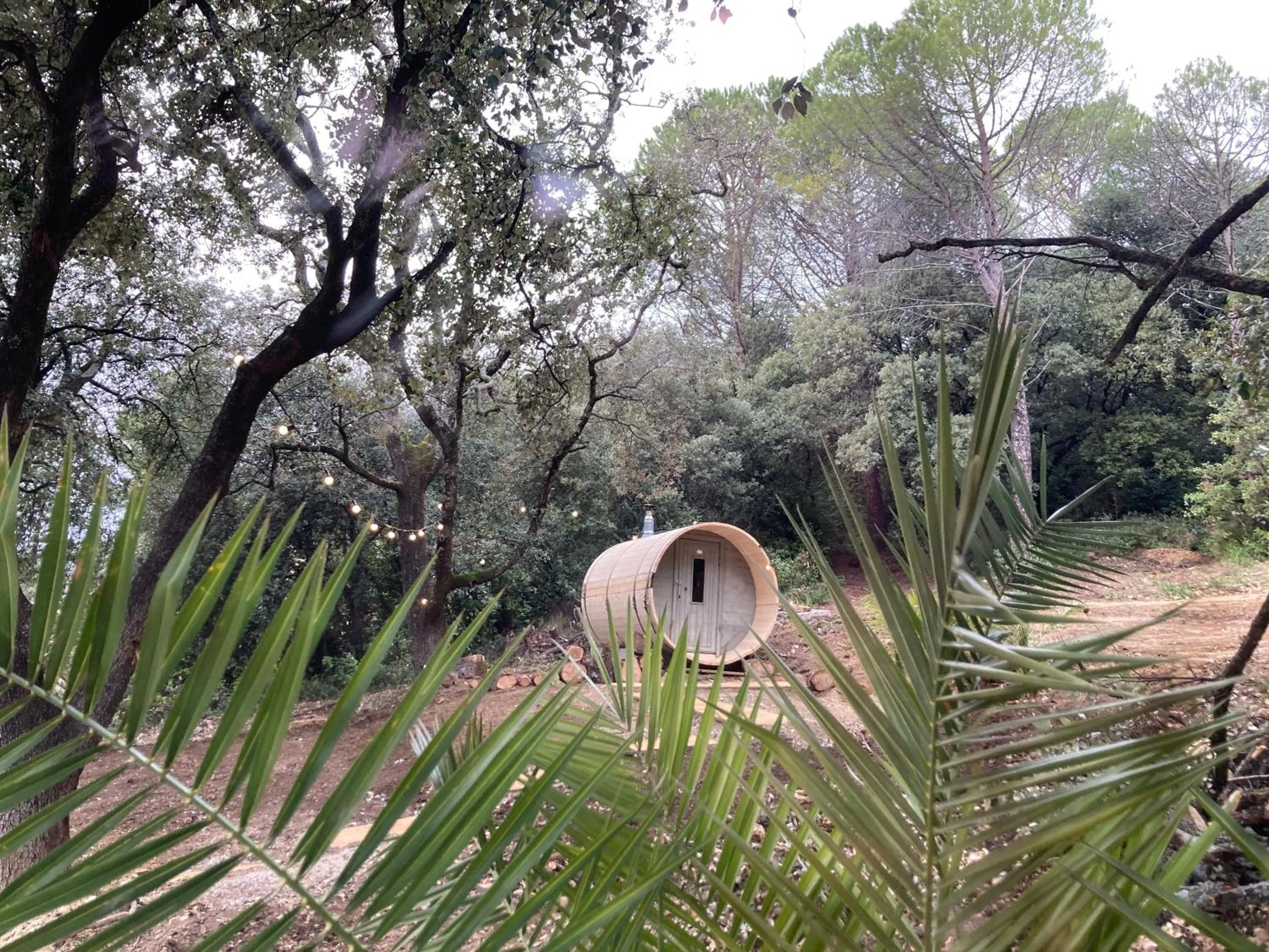 Suite Royale- SPA - Jacuzzi - Sauna - Massage - 2 Double Rooms - 4 SAISONS - Piscine Chauffée Toute l'année - POOL VIEW - Heated POOL -800m City Centre