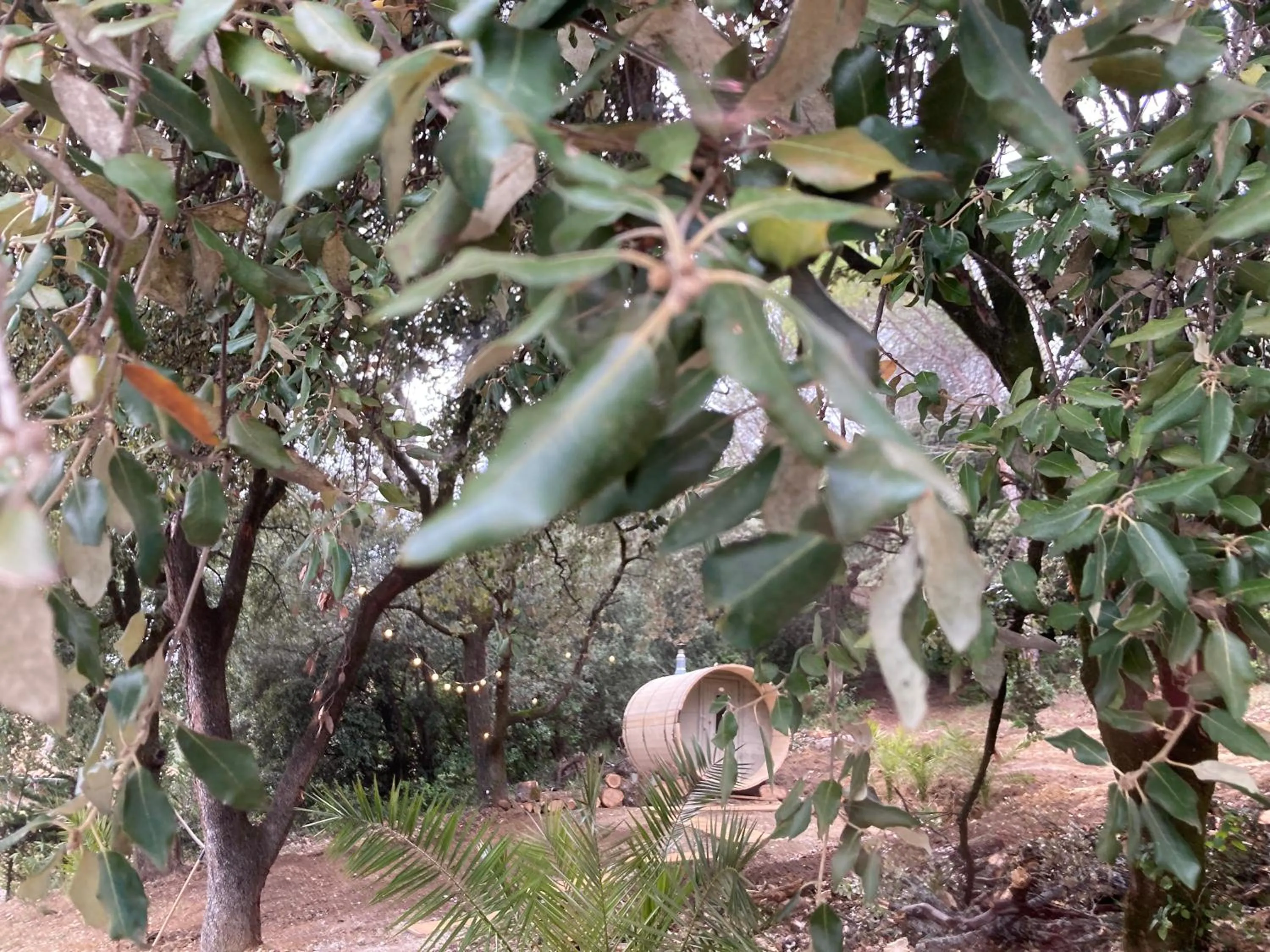 Suite Royale- SPA - Jacuzzi - Sauna - Massage - 2 Double Rooms - 4 SAISONS - Piscine Chauffée Toute l'année - POOL VIEW - Heated POOL -800m City Centre