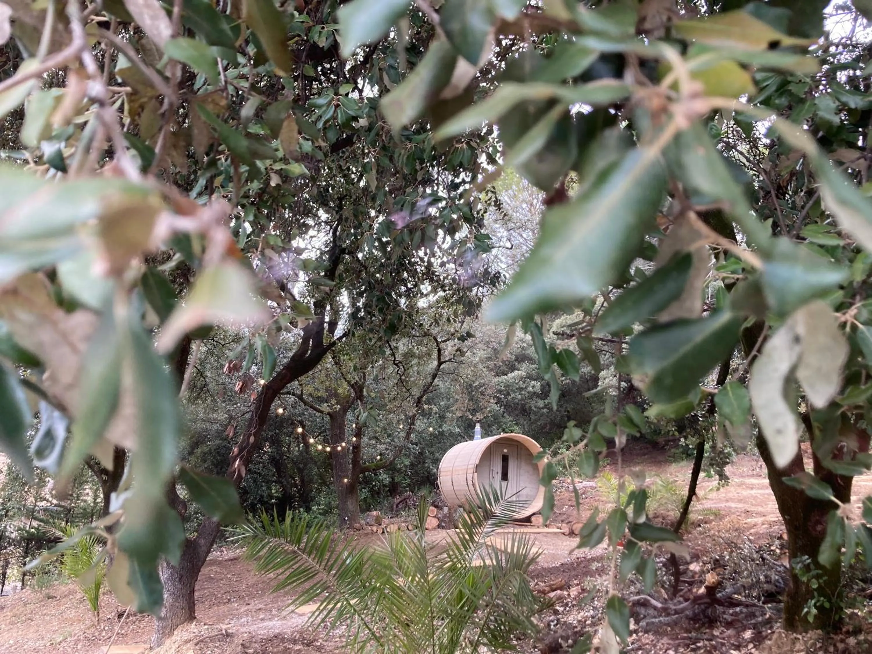 Suite Royale- SPA - Jacuzzi - Sauna - Massage - 2 Double Rooms - 4 SAISONS - Piscine Chauffée Toute l'année - POOL VIEW - Heated POOL -800m City Centre