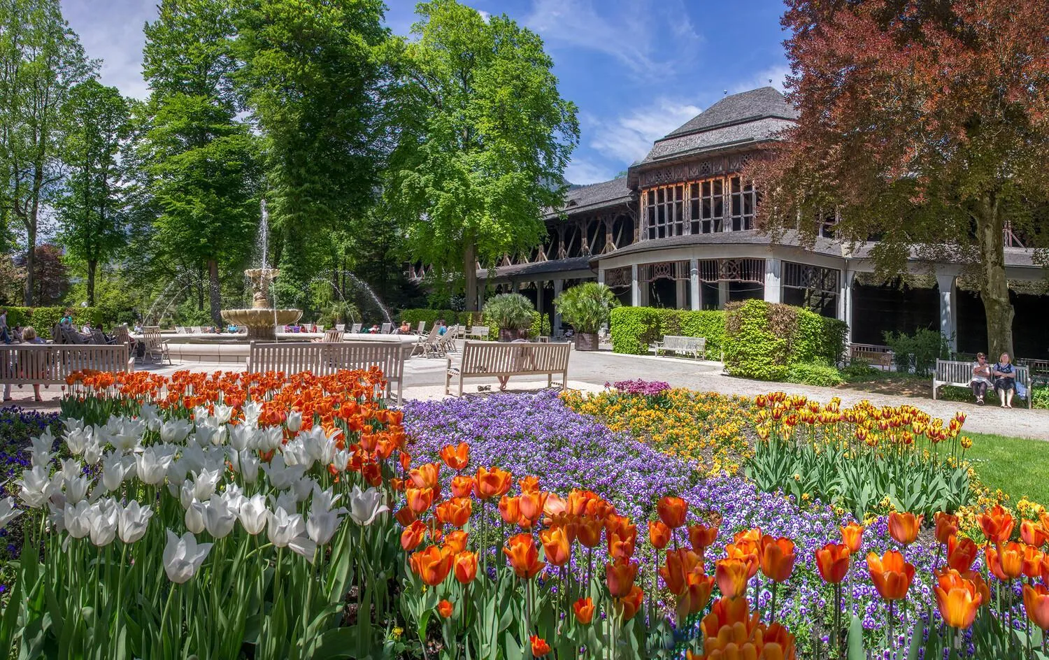 Spring in Galerie Hotel