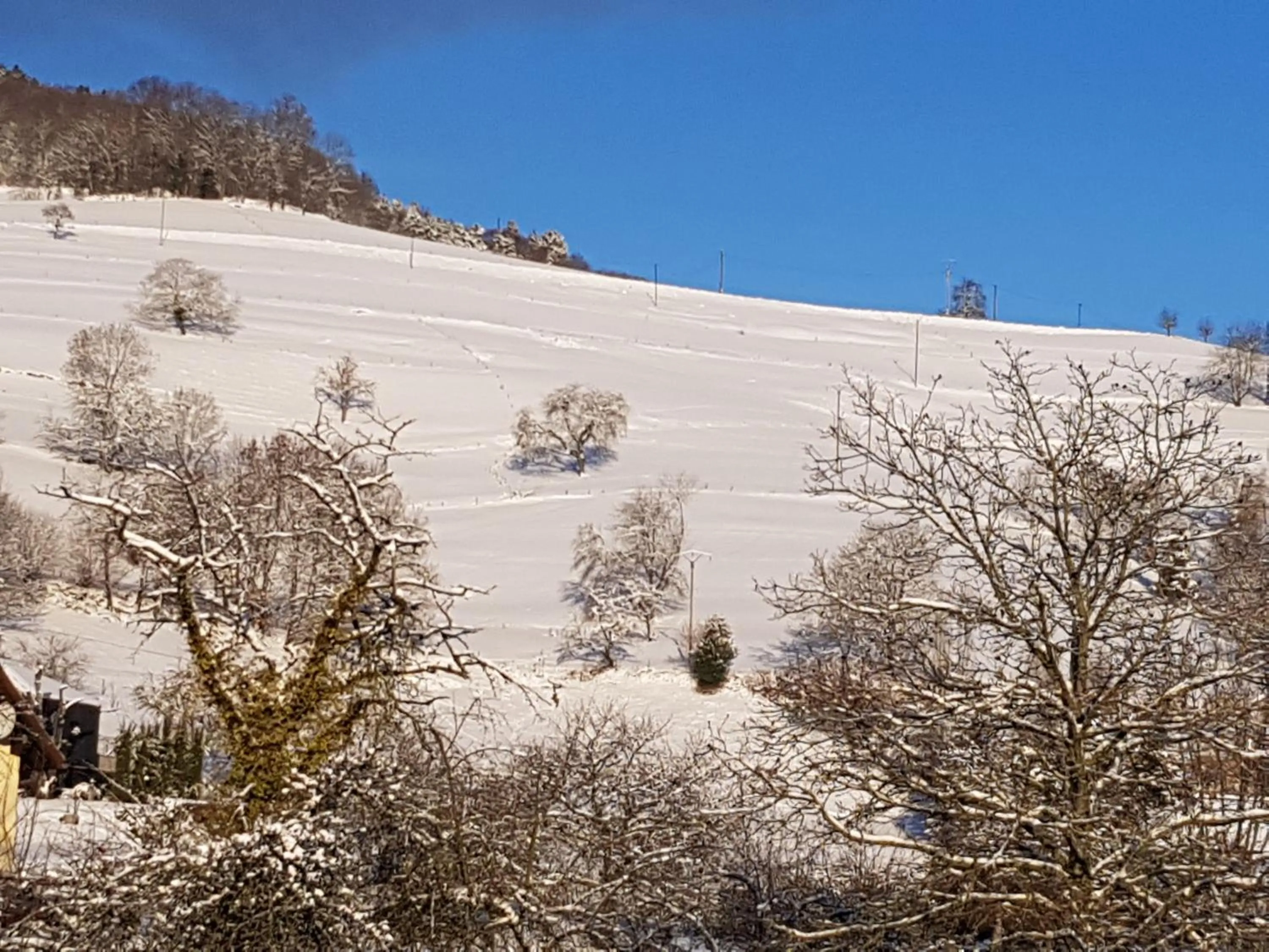 Natural landscape in Hôtel Au Vieux Moulin